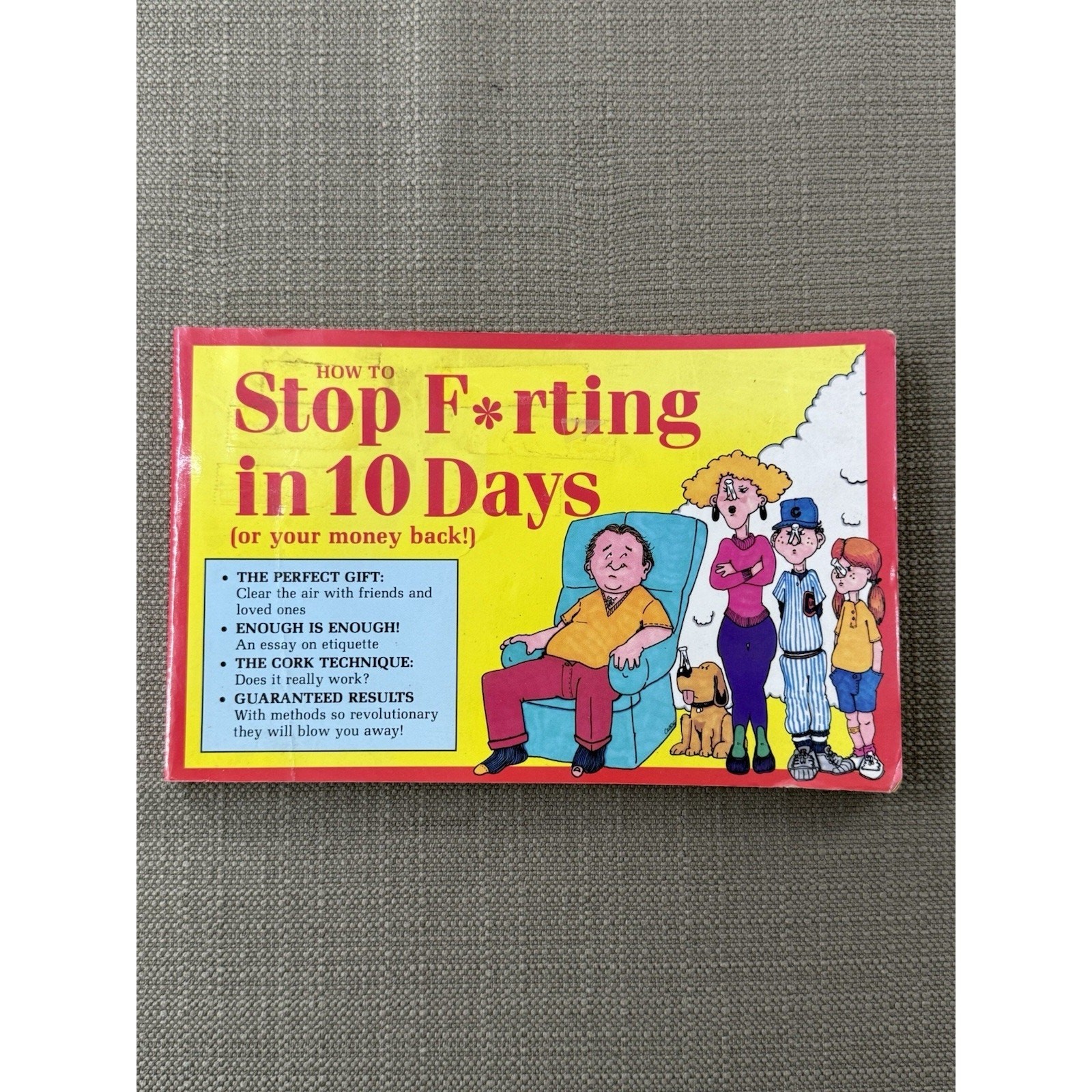 How to Stop Farting in 10 Days Vintage 1987 Humor Book Ray Strobel Paperback
