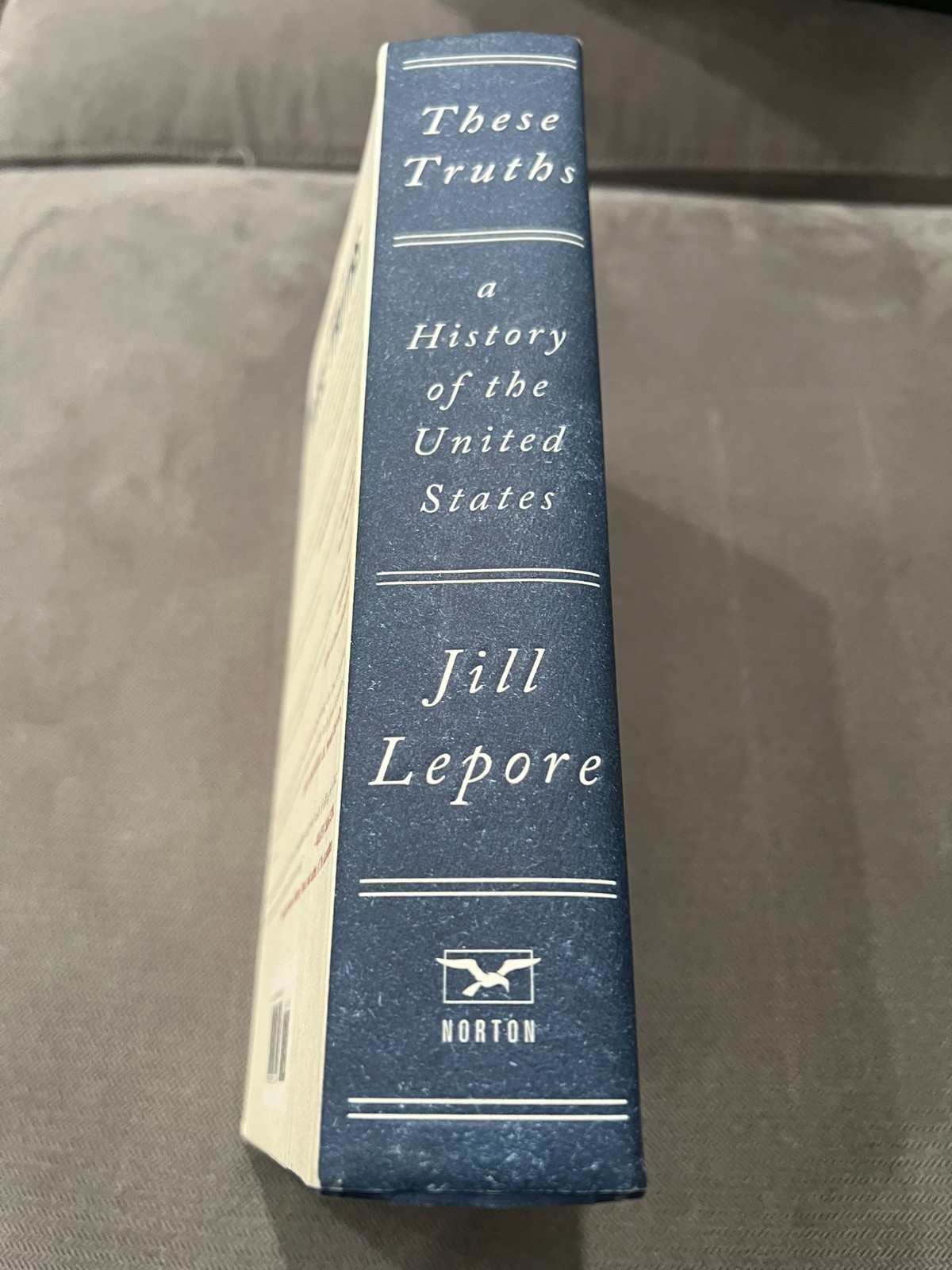 NEW These Truths a History of the United States – Jill Lepore