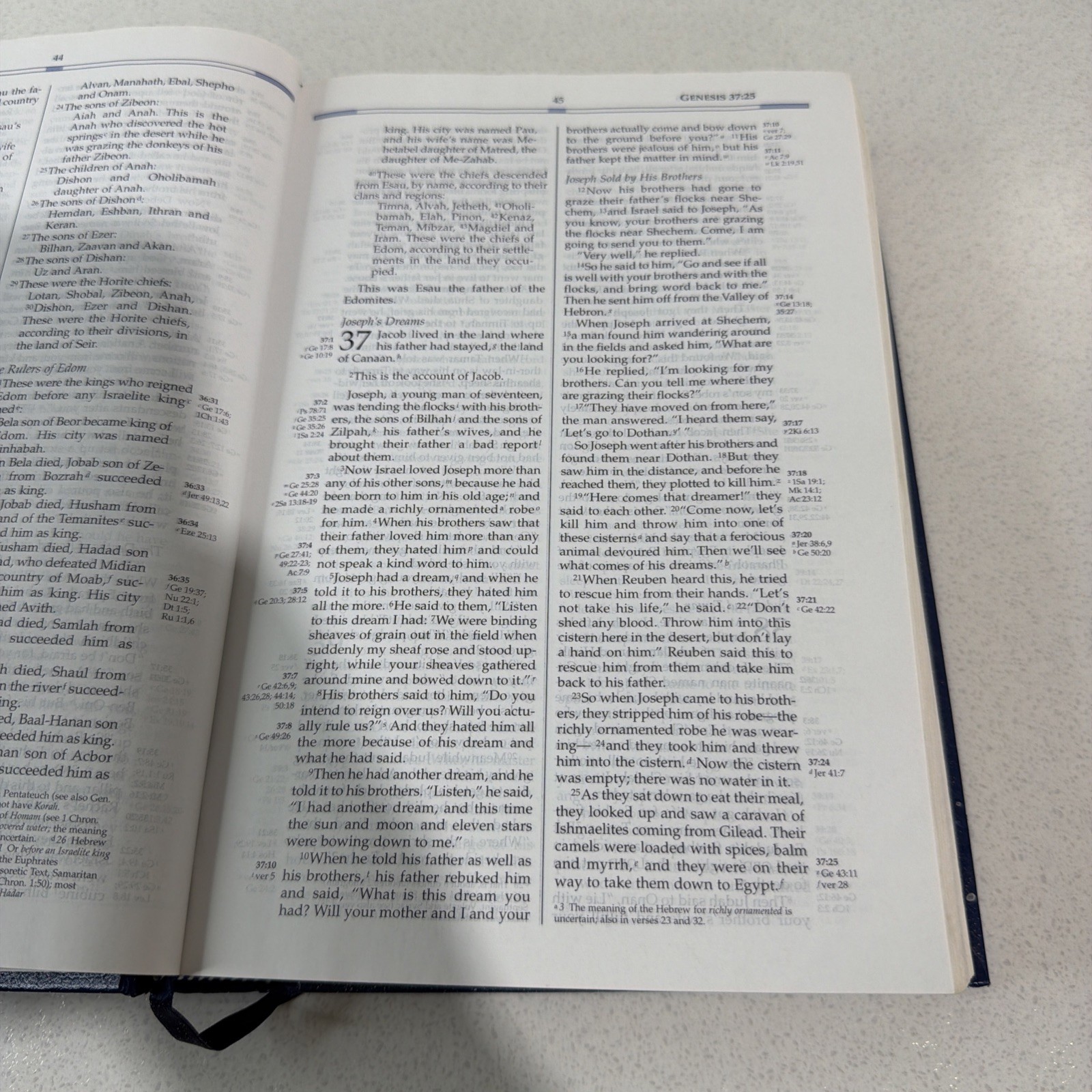 Freedom in Christ Bible by Zondervan Staff Blue 2001 Paint Splatter On Book