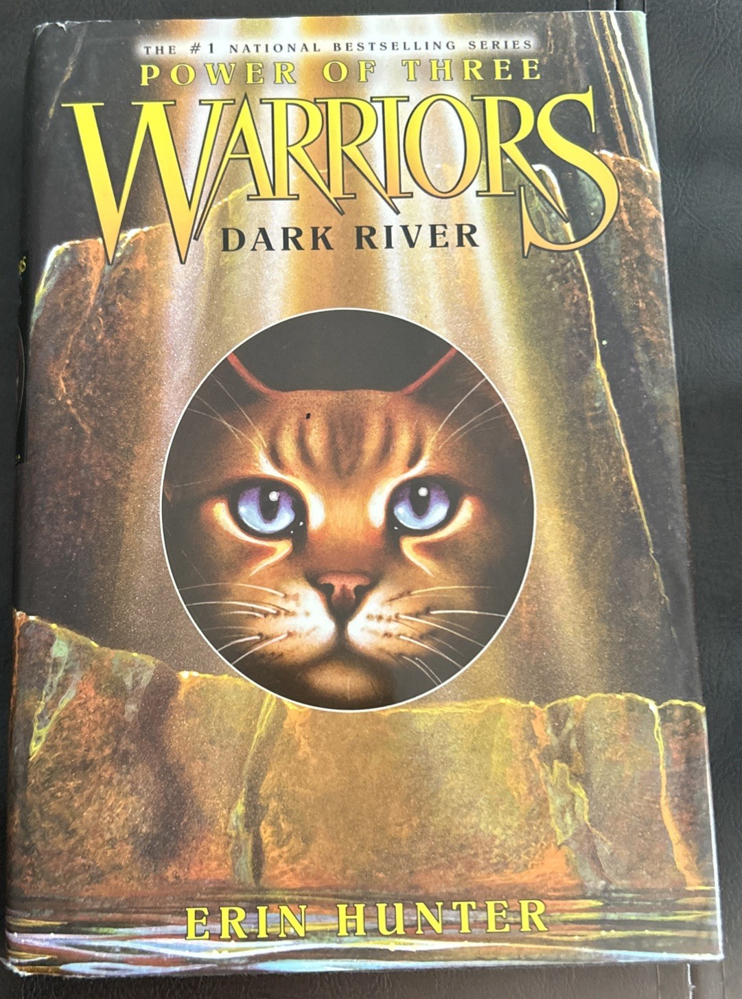 Warriors Hardcover Book Lot 9 By Erin Hunter Power Of 3, New Prophecy, Super Ed