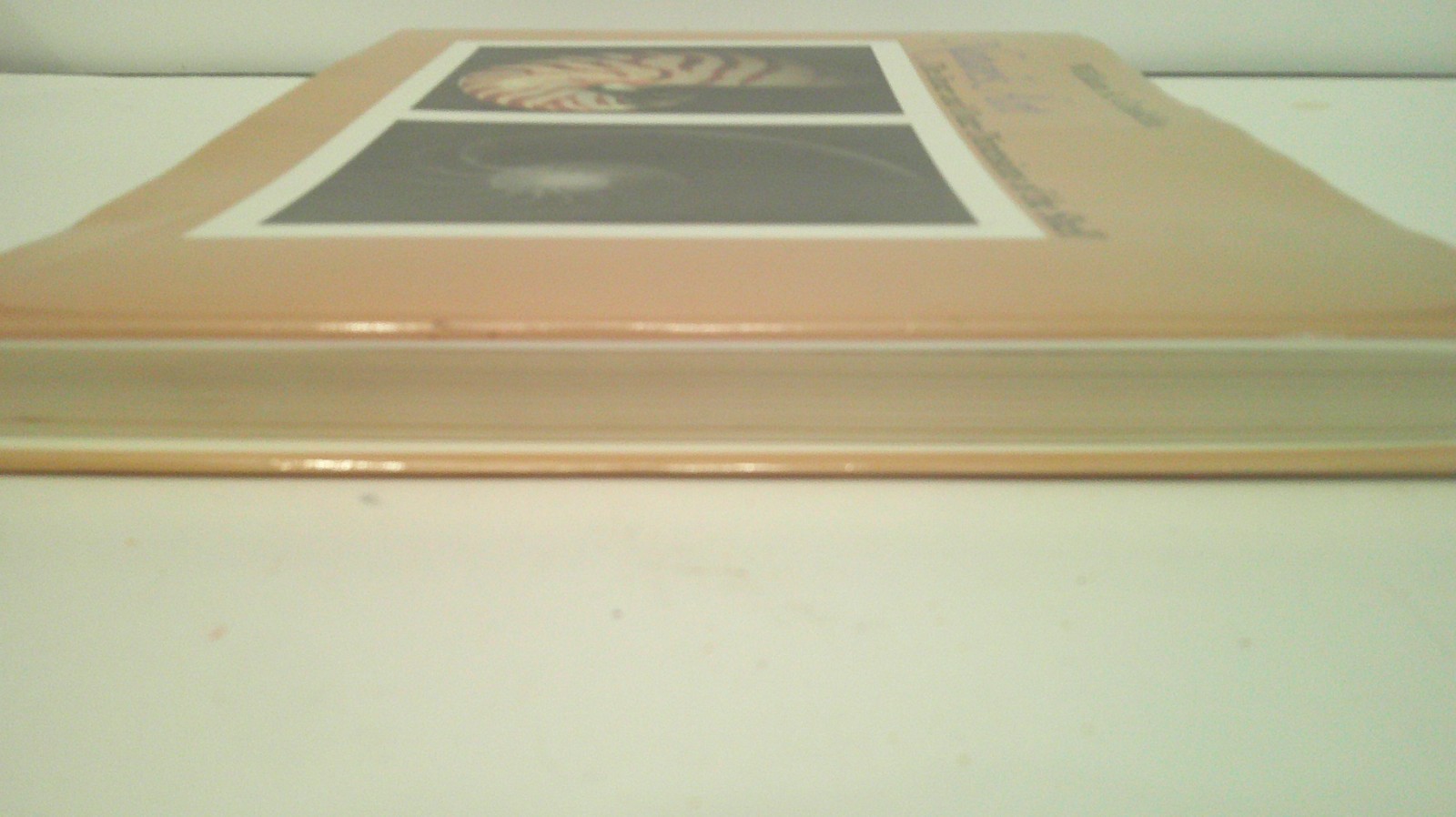 Nature’s Art : The Inner and Outer Dimensions of the Shell by William A. Conklin