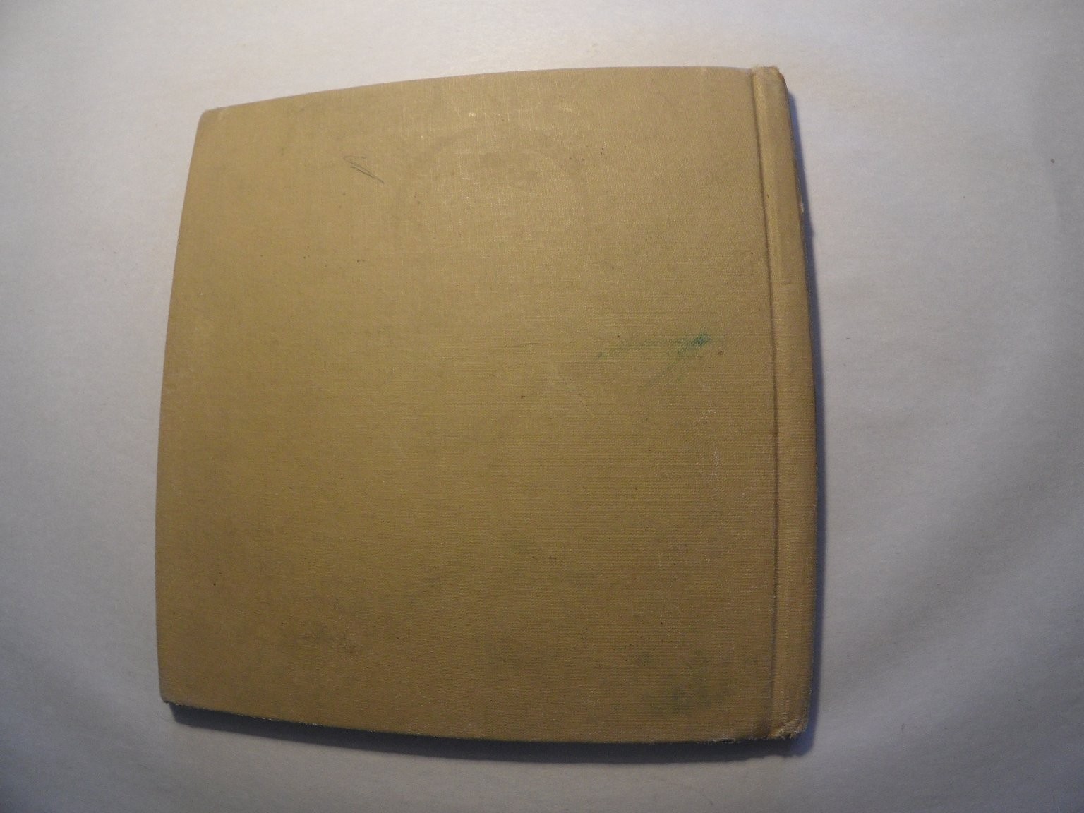Becky, The Rabbit Gene Darby 1964 Illustrated Childrens Book Benefic Press