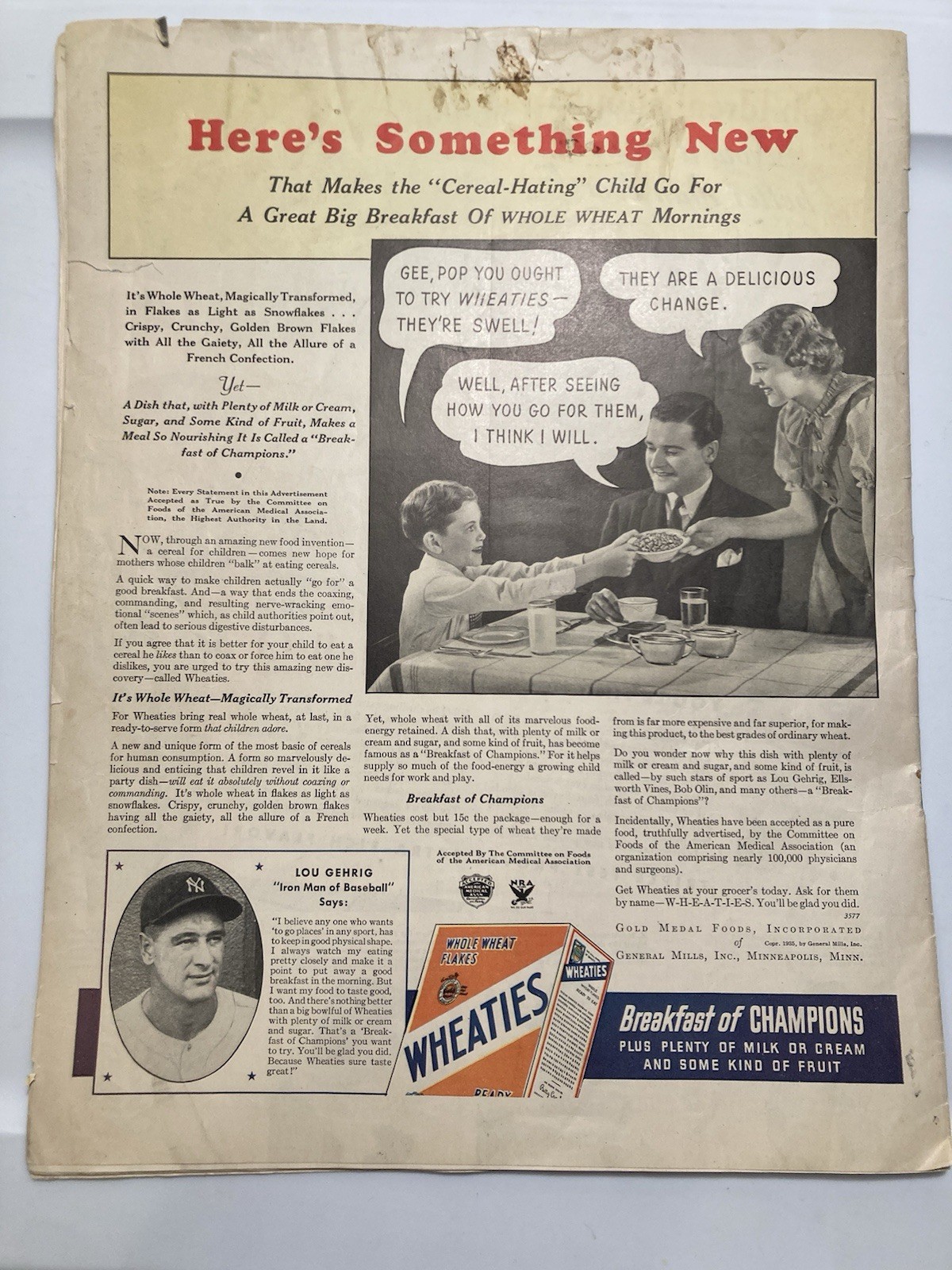 The Farmer’s Wife Magazine June 1935 Jules Erbit Cover Vtg Ads Articles Recipes