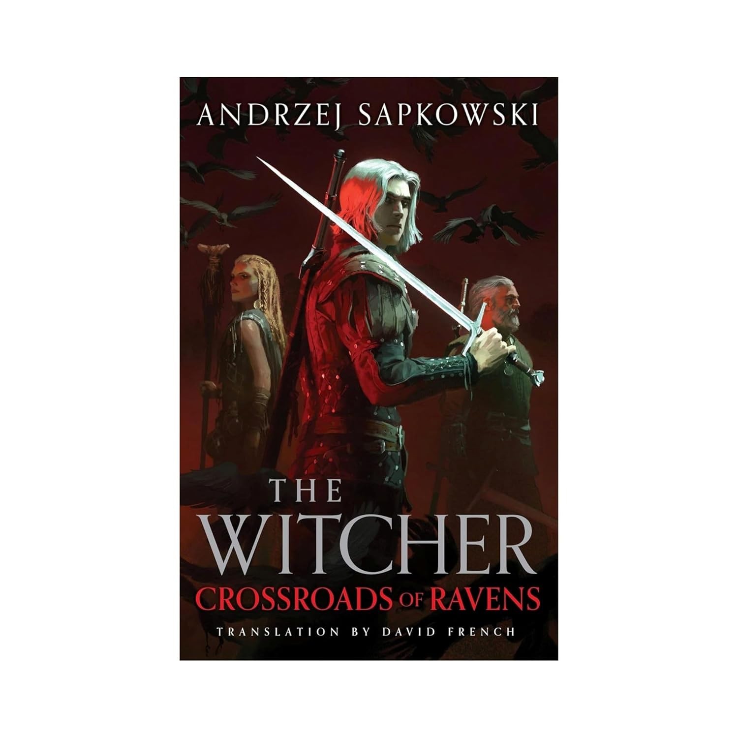 The Witcher 9 Books Collection Set: The Last Wish, Sword of Destiny, Blood