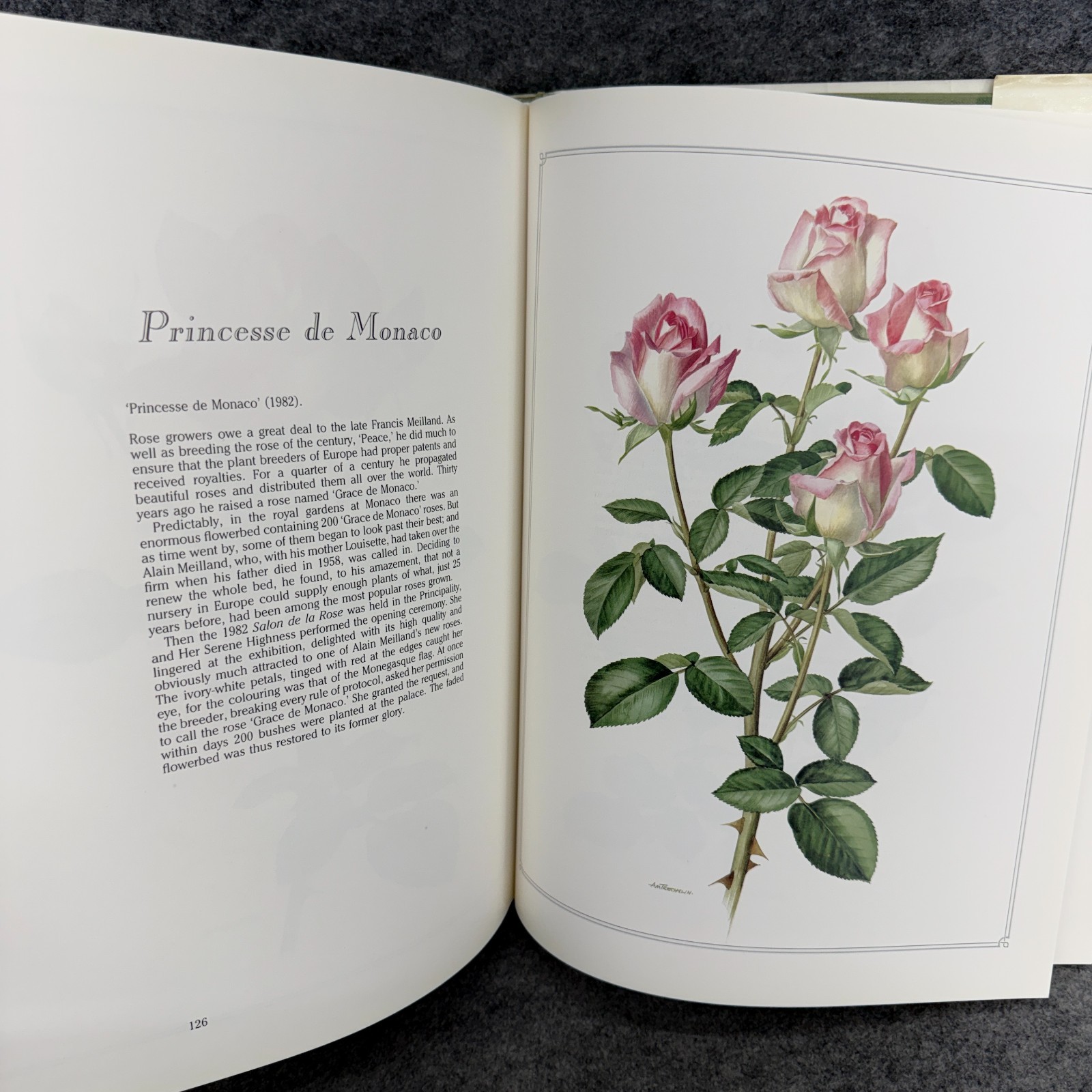 Language of Roses 1986 Stelvio Coggiatte Color Illustrations HC Illustration