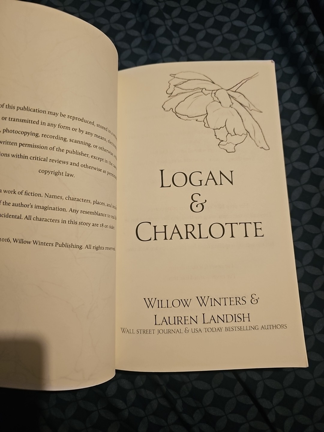 Logan & Charlotte : Mr CEO by Lauren Landish and Willow Winters-Signed-Paperback