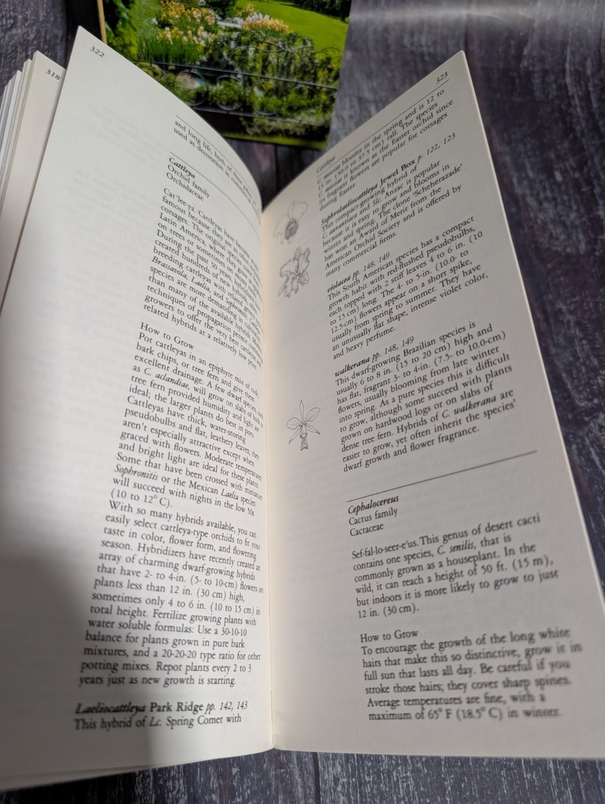 Taylor’s Guide To Book Lot: Garden Design, Ground Covers, Houseplants