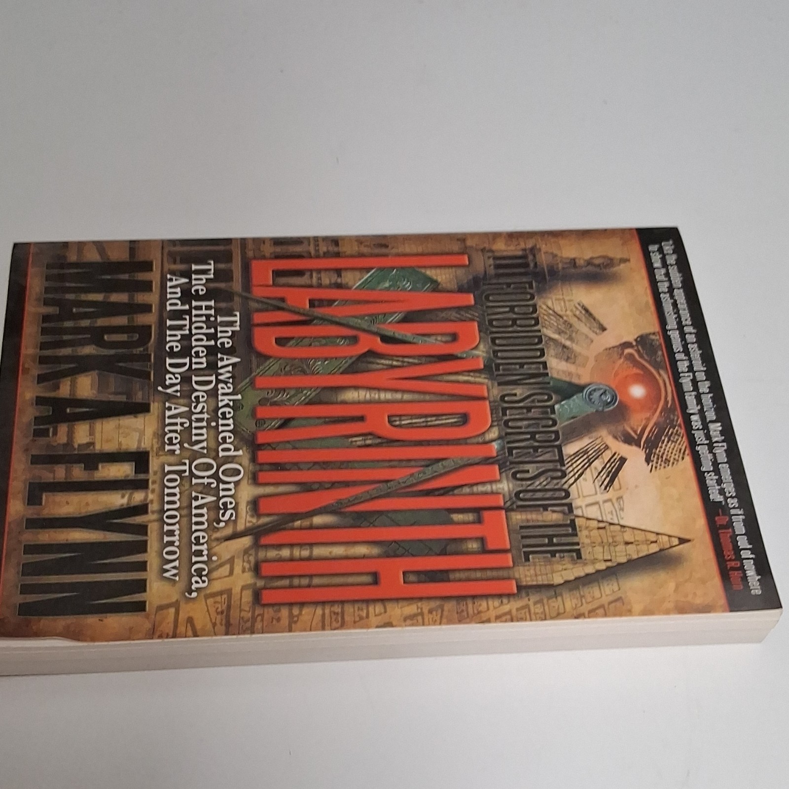 Defender Mark A. Flynn Paperback Forbidden Secrets Labyrinth Occult Religion