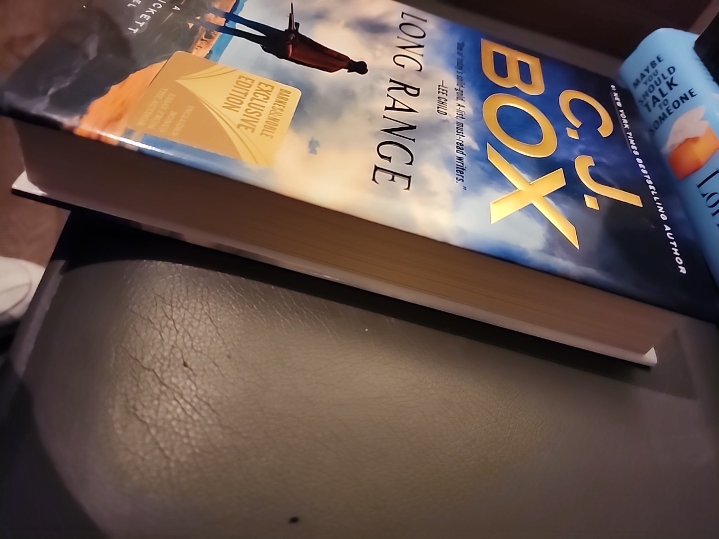C.J. Box LONG RANGE-A Joe Pickett Novel Crime Nature Fiction 2020 -368 Pages
