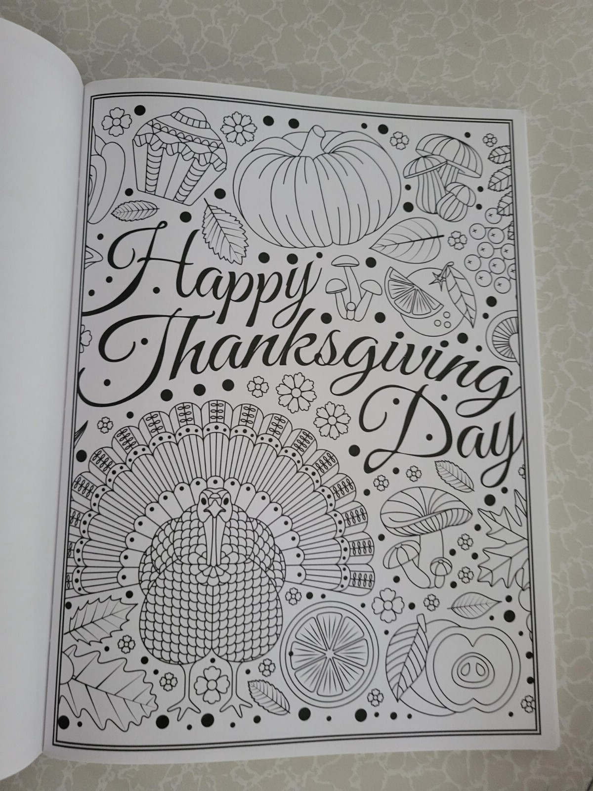 THANKSGIVING ADULT COLORING BOOK – 2022 CENTENNIAL – 32 FESTIVE COLORING PAGES