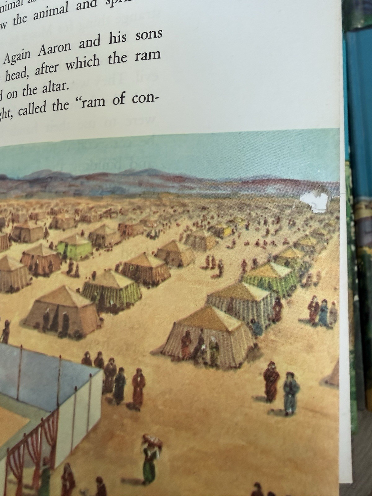 ✝️ The Bible Story Complete Hardback Set Vol 1-10 Arthur S. Maxwell 1953-1957