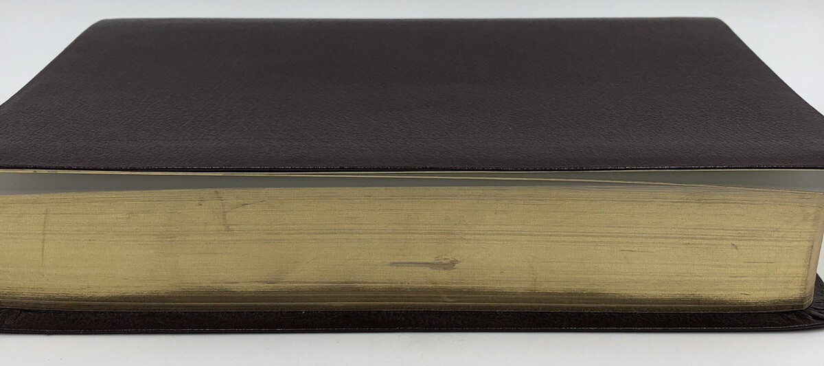 Sonrise Daily Devotional Bible~Thomas Nelson 2004 Bonded Leather ~ Burgundy
