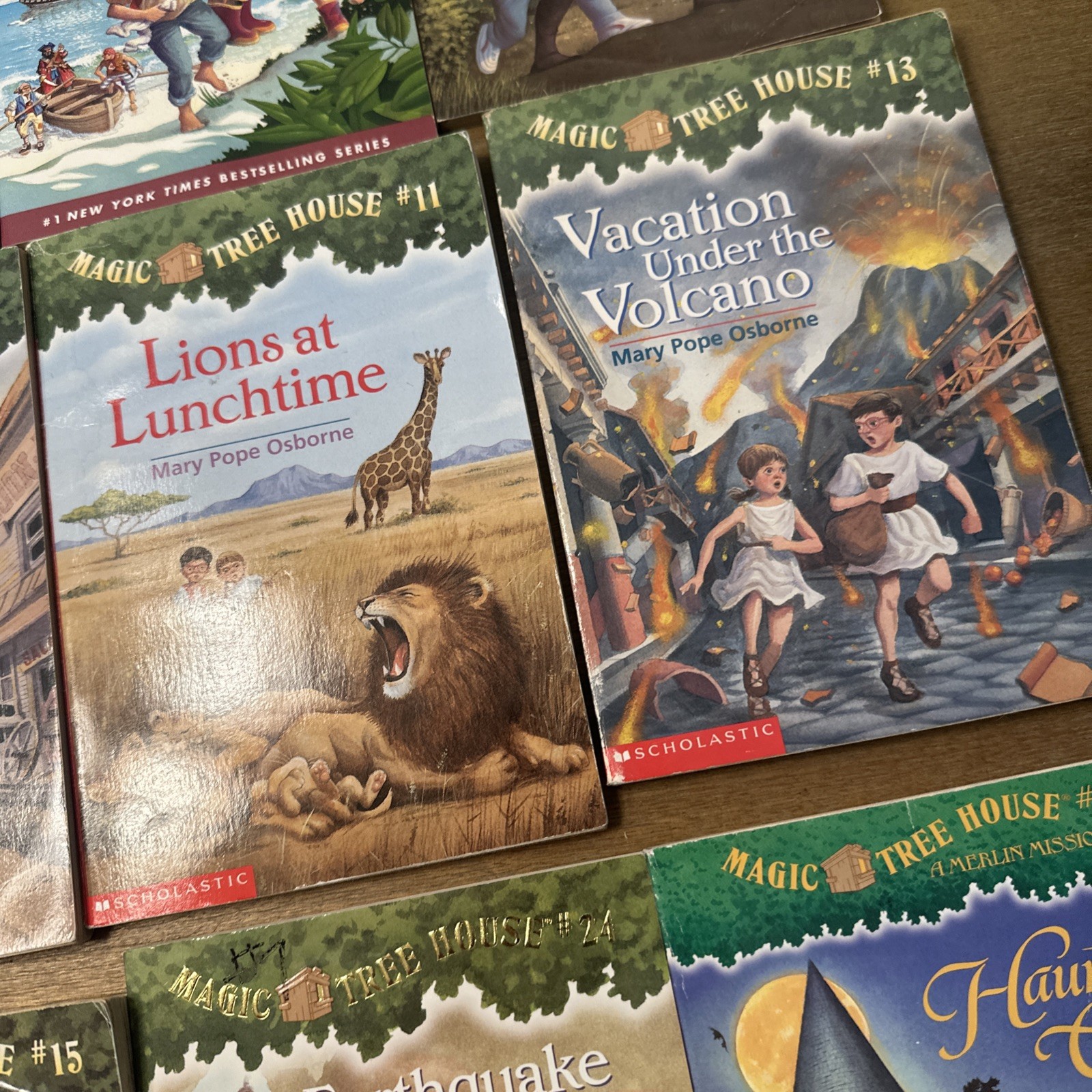 Lot of 12 Magic Treehouse Fact Tracker Non-Fiction Book Historical Fiction Books