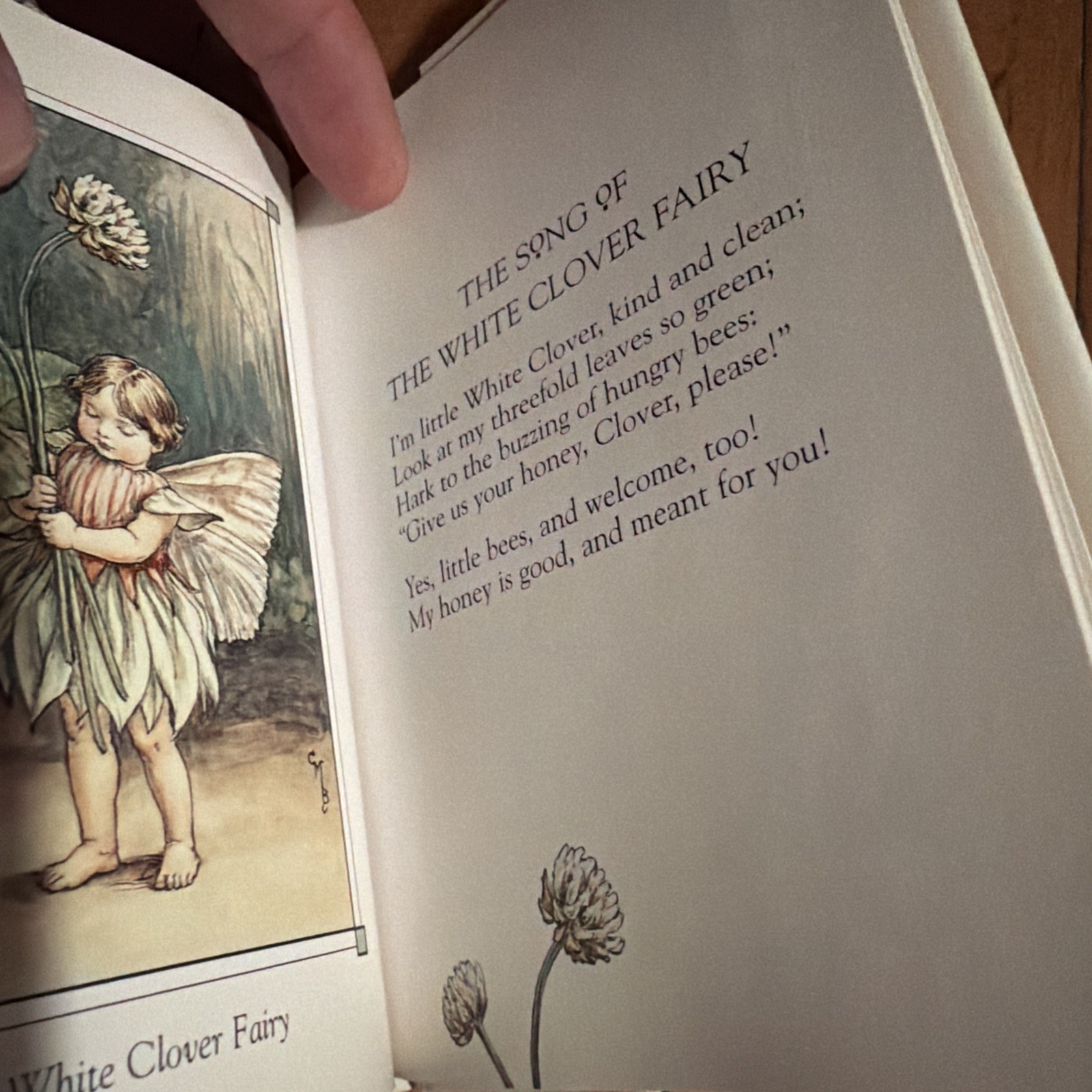 Flower Fairies Of The Summer Cicely Mary Barker 2002 HCDJ Frederick Warne