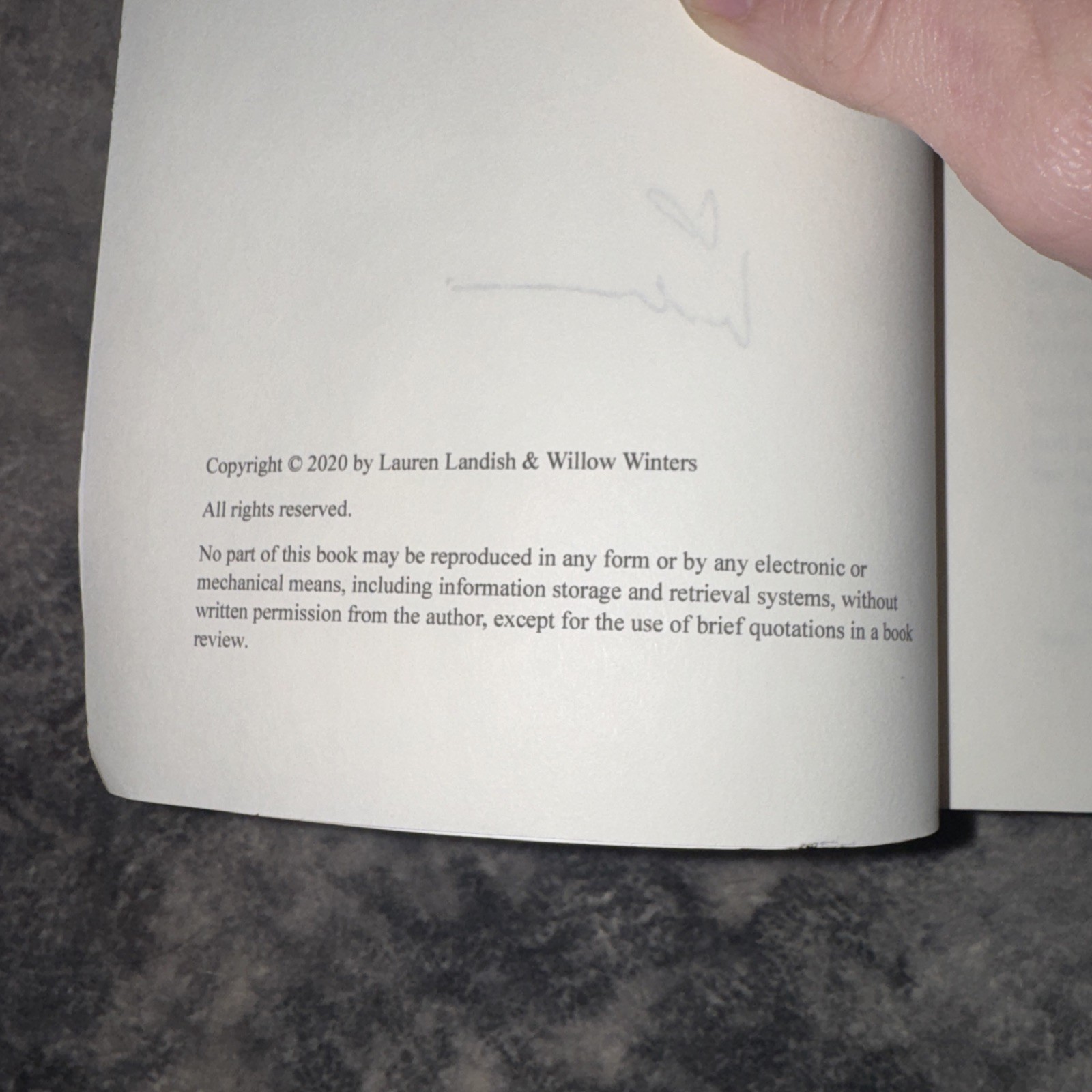Highest Bidder Paperback Lauren Landish and Willow Winters English – Signed!