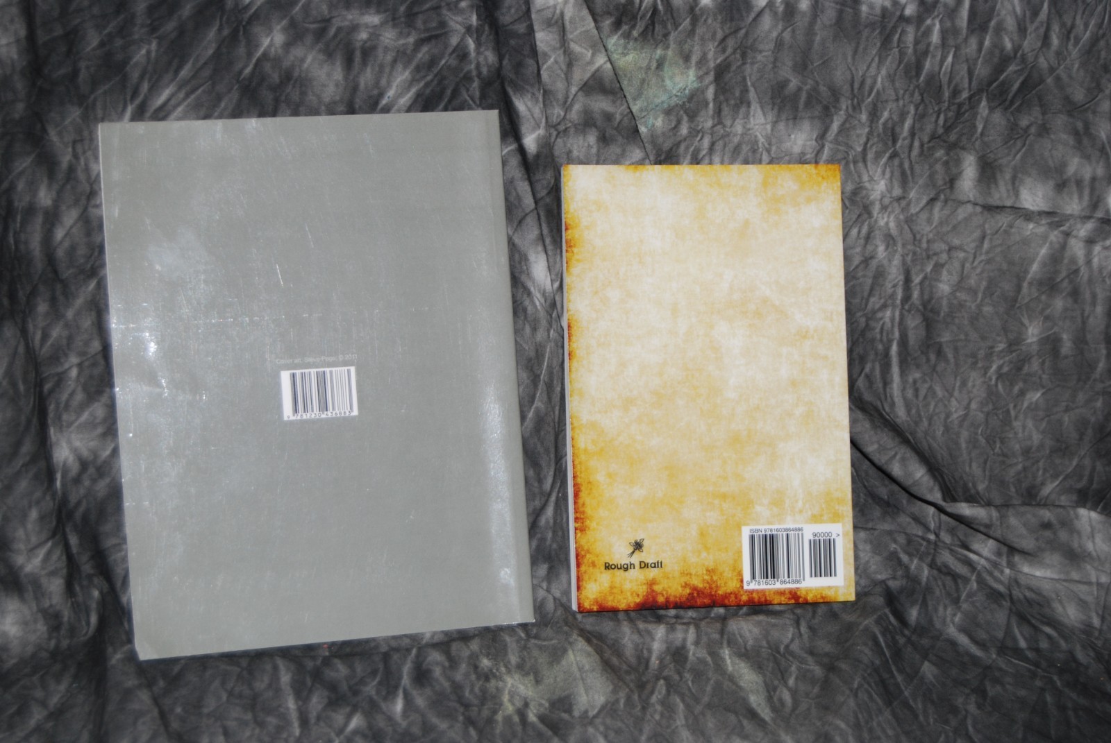 Lot of 2 Clarence Larkin The Spirit World (Paperback) Books Illustrated