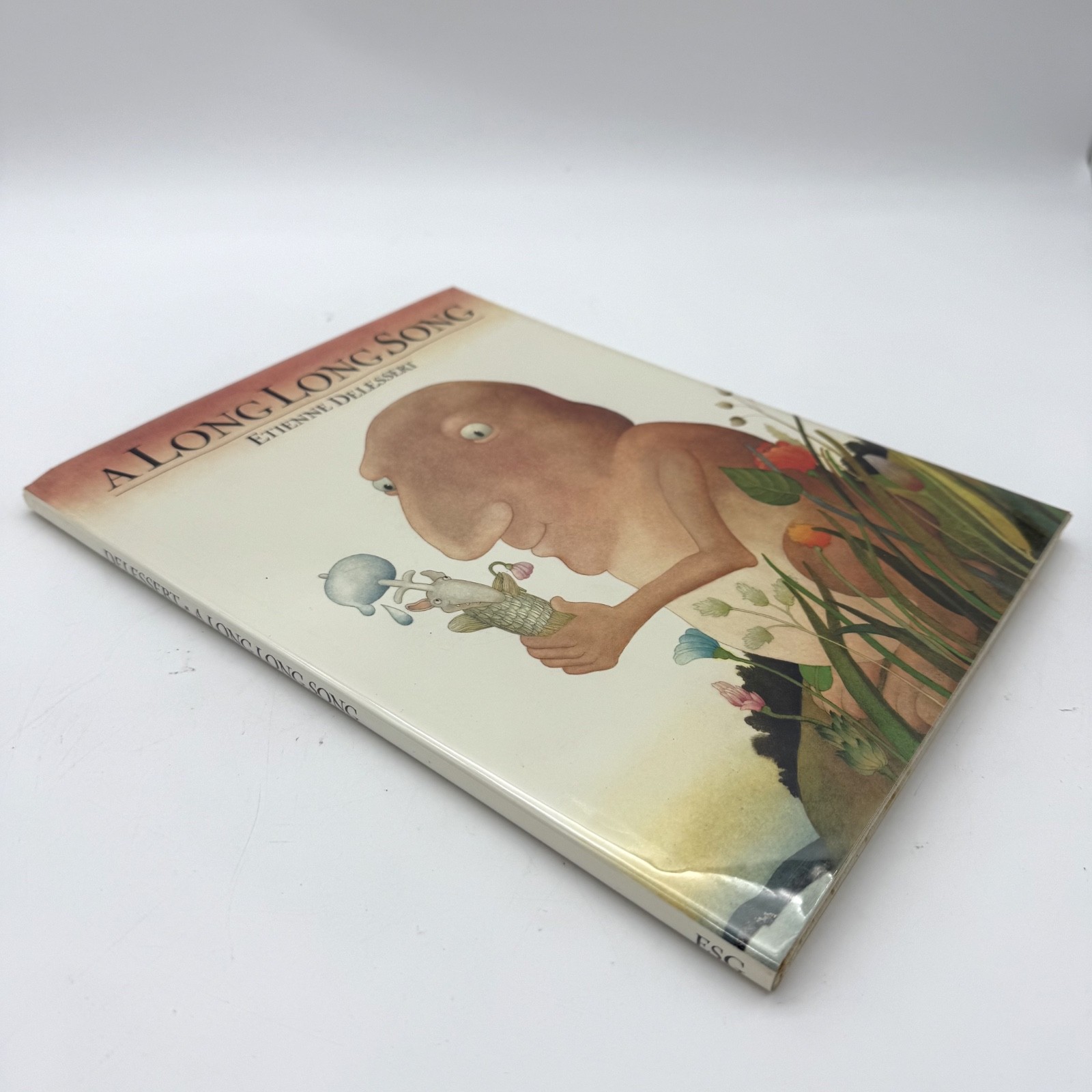A LONG LONG SONG By Etienne Delessert – 1st ED Hardcover Near fine / very good +