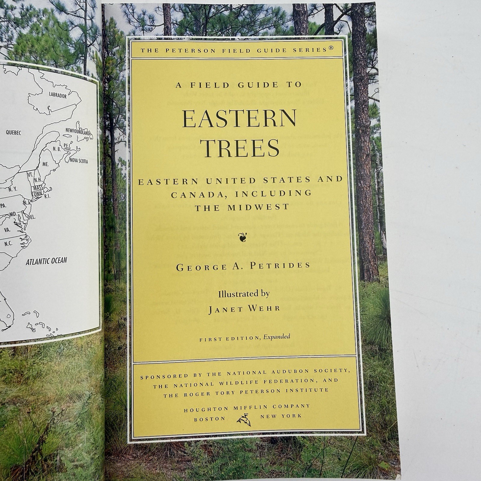 Peterson Field Guide to Eastern Trees George A. Petrides Janet Wehr
