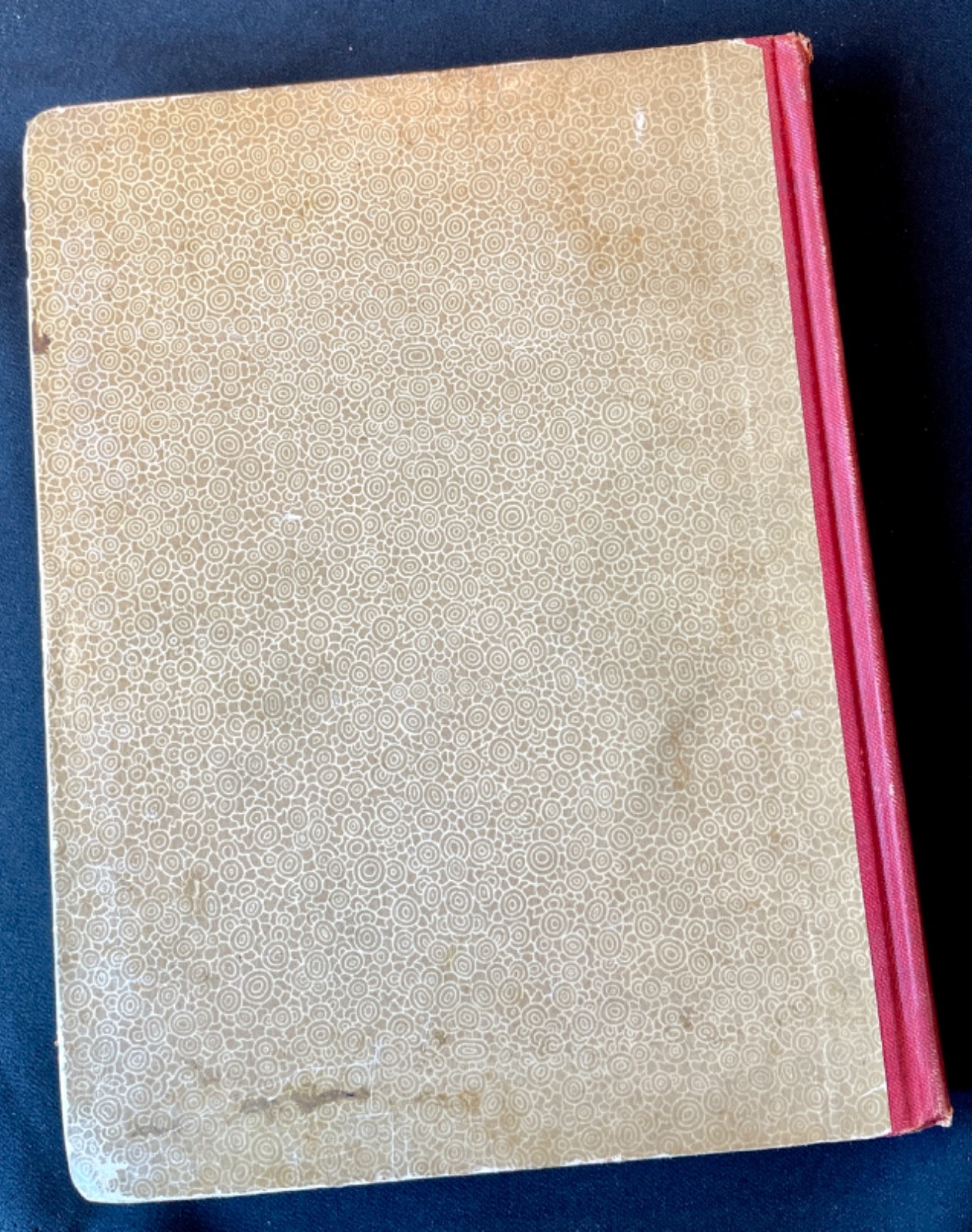 The Little Lame Prince McLoughlin Bros Antique Illustrated Victorian HC Brownie