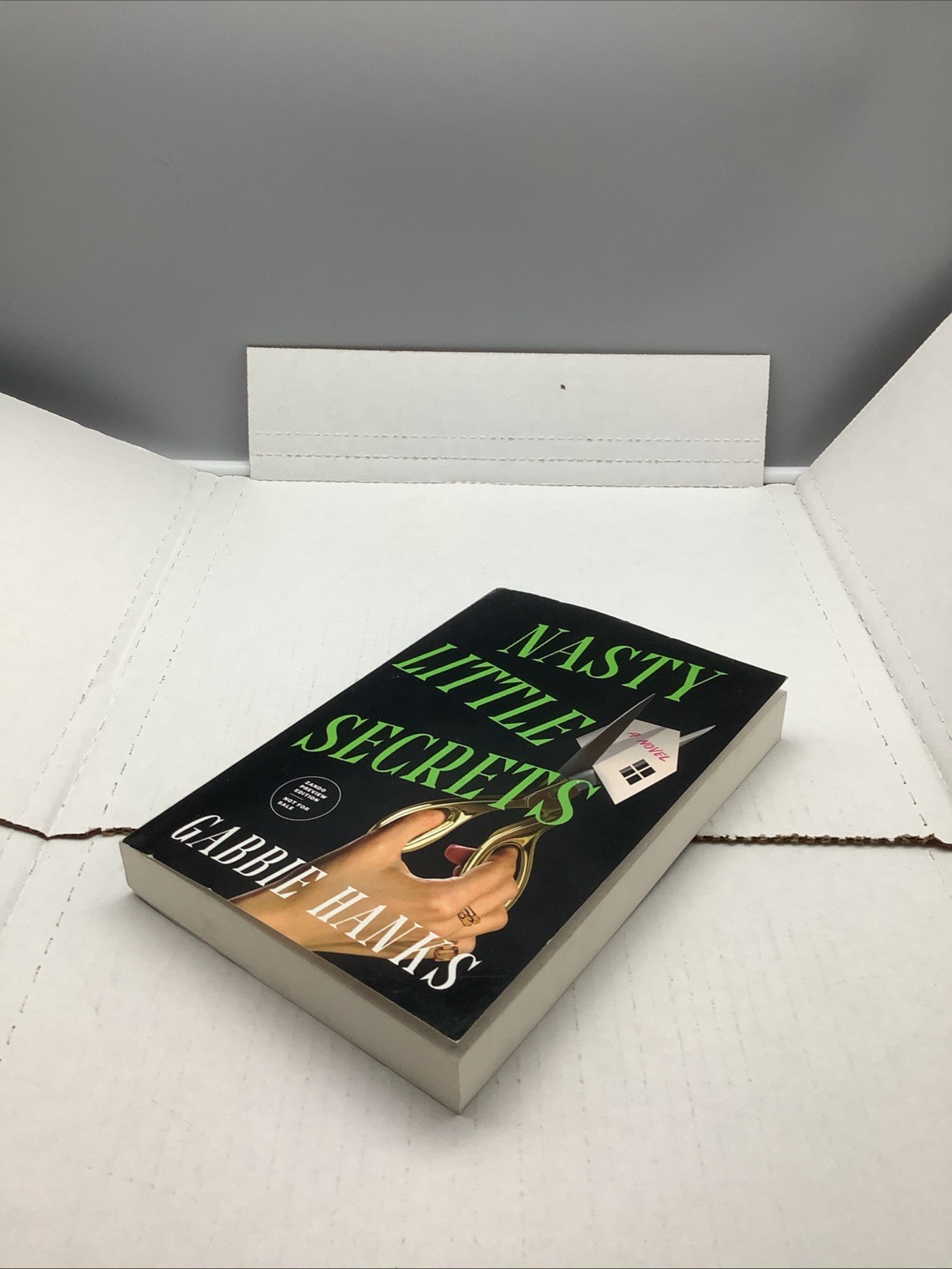 Nasty Little Secrets – By: Gabble Hanks – ARC 6/16/2026 – Paperback – Acceptable
