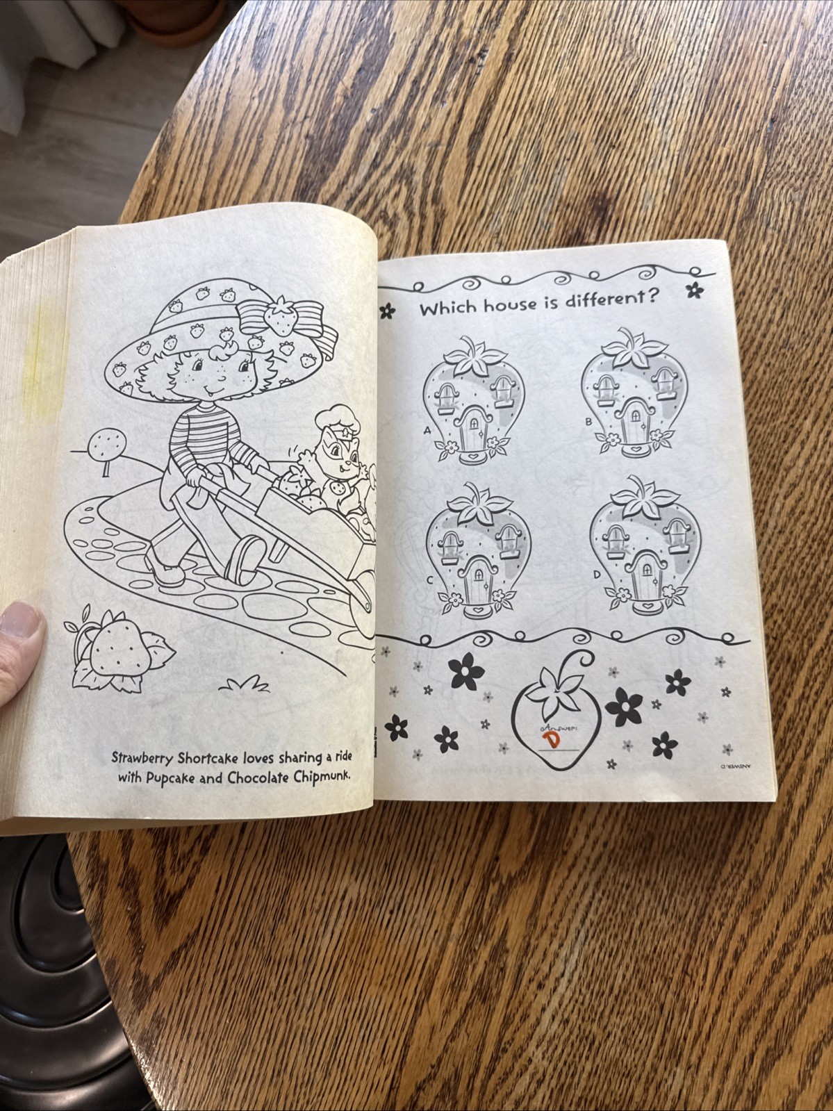 Strawberry Shortcake: : 400 Pages of Coloring Fun! (Strawberry Shortcake) BB