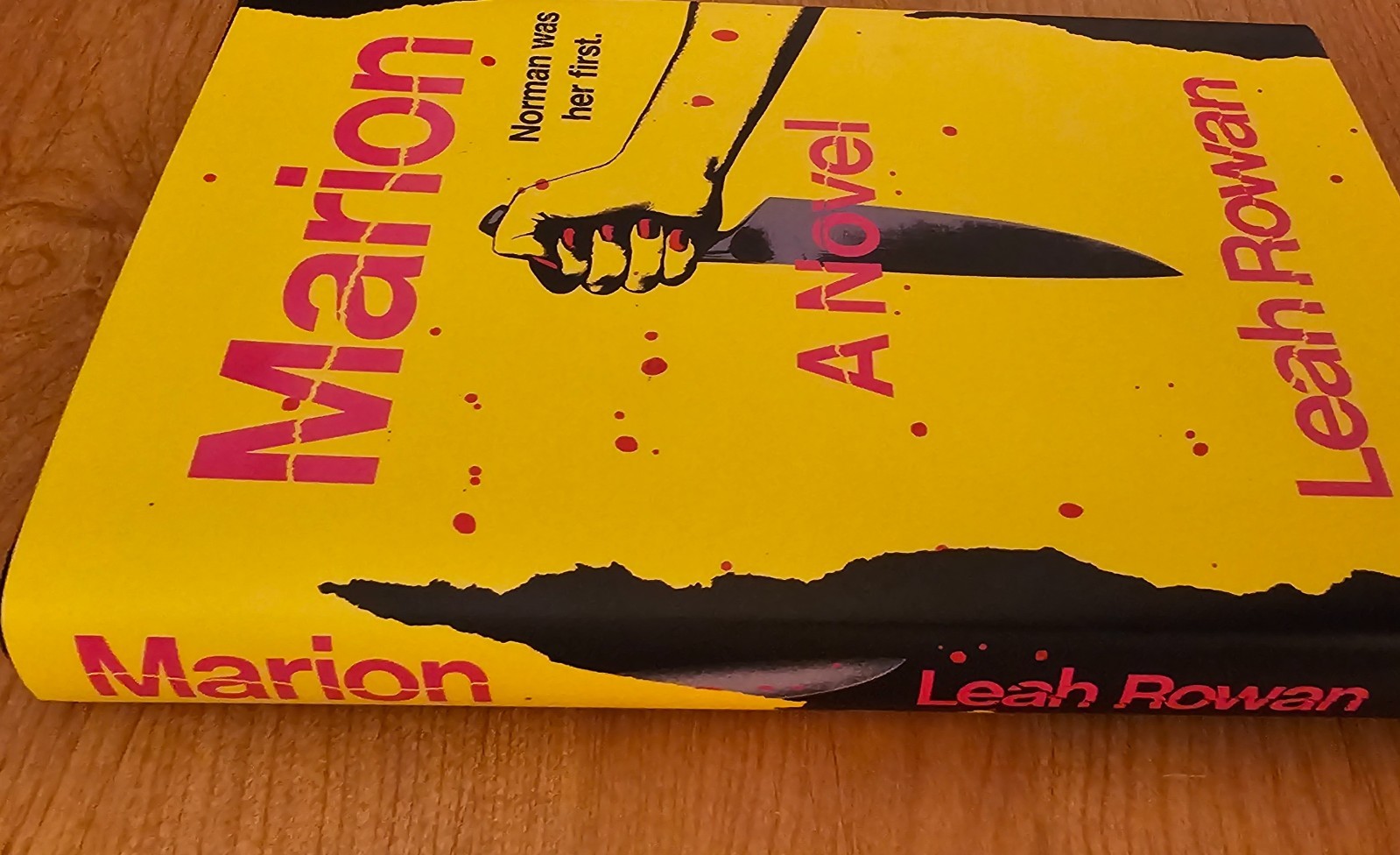 Marion: A Novel Leah Rowan Thriller PSYCHO St. Martin’s Press 2026