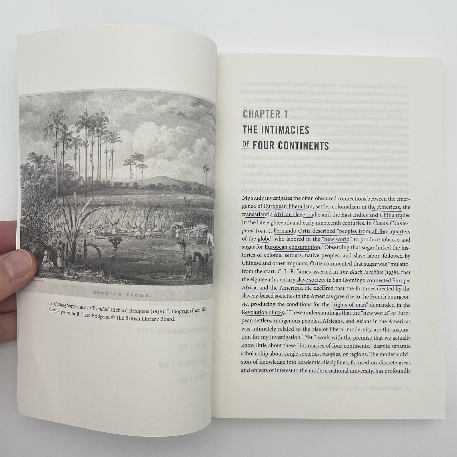 The Intimacies of Four Continents Lisa Lowe