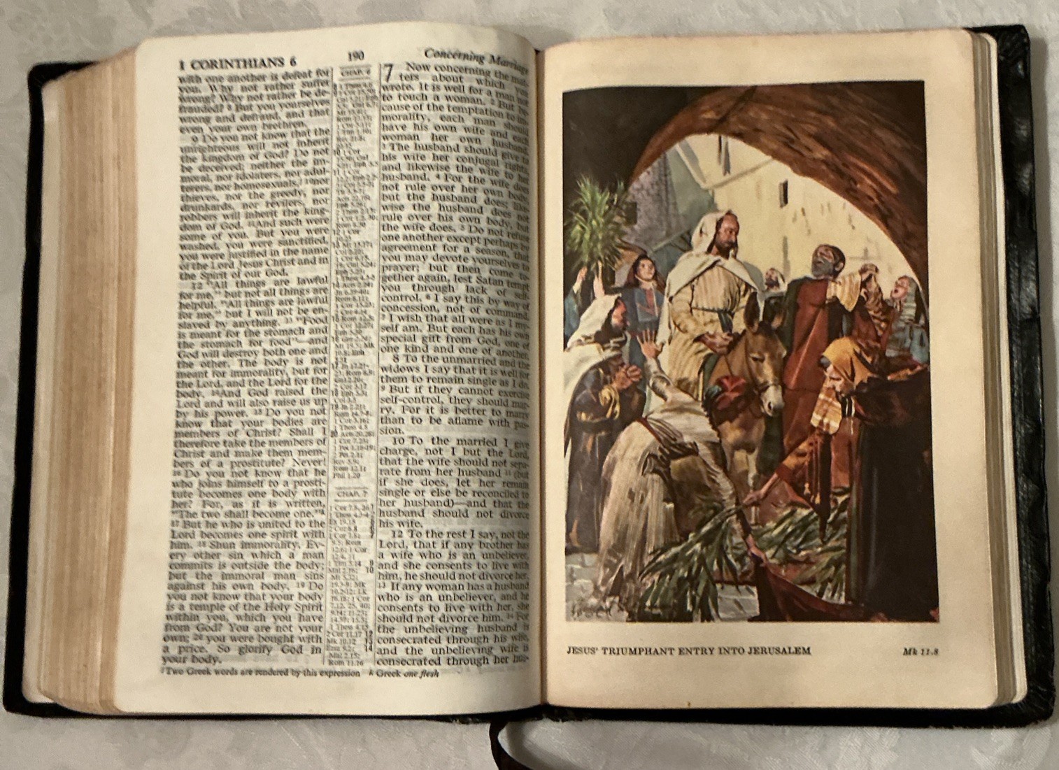 Vintage Holy Bible RSV 1962 World Publishers Reference Large Print Illustrated