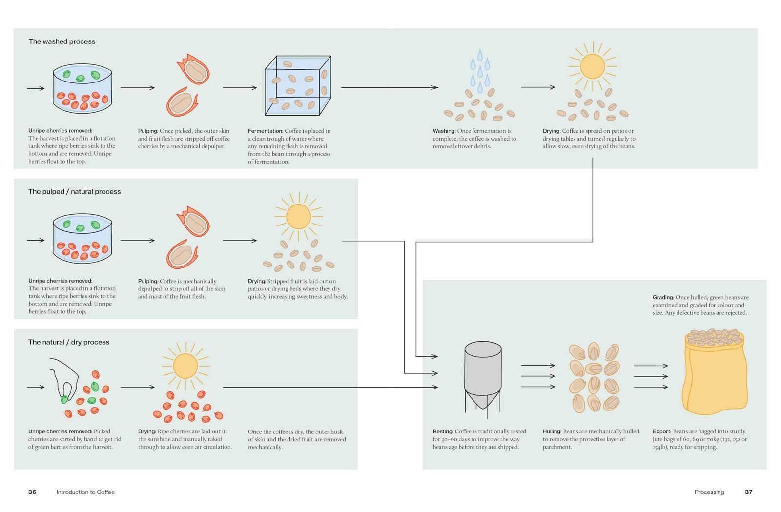 The World Atlas of Coffee 3rd edition: From beans to brewing – coffees…