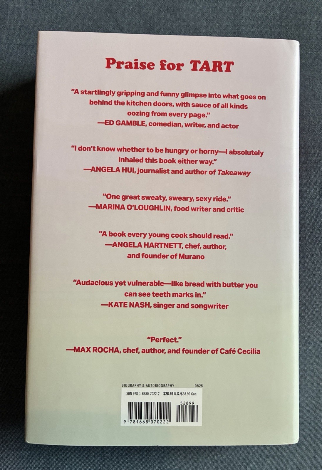 Tart Misadventures of an Anonymous Chef Slutty Chef hc Book 2025 VERY GOOD