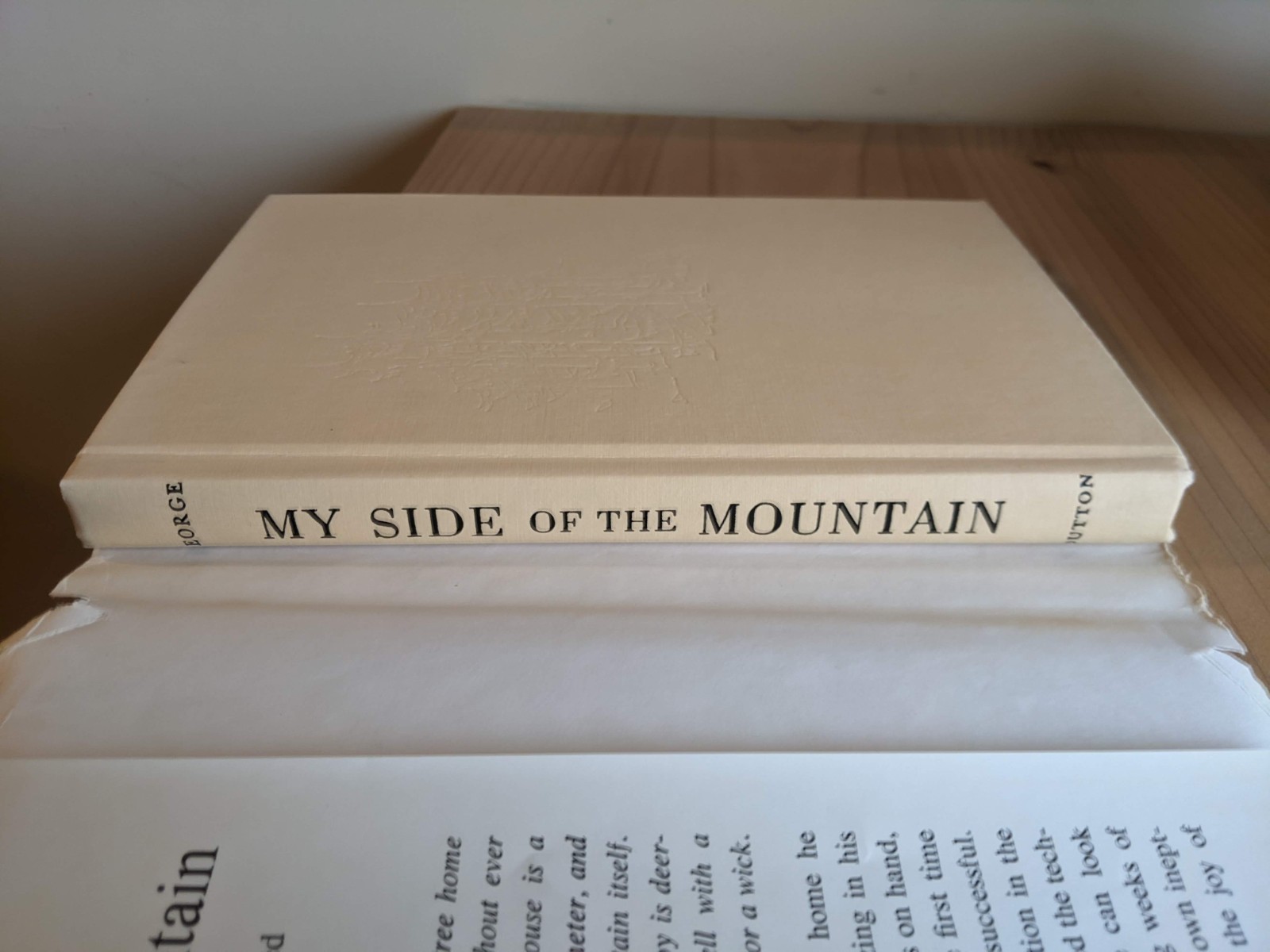 My Side of the Mountain – Hard Cover – Dust Jacket – Newbery Honor Medal – VTG