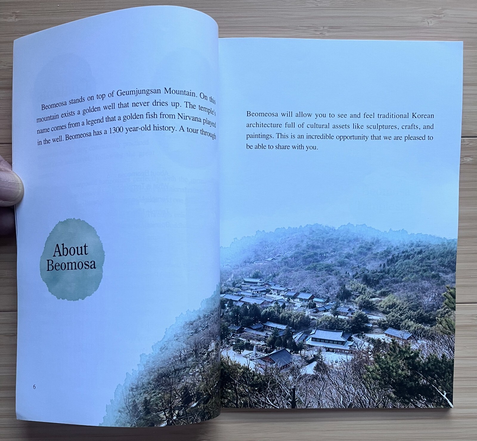 South Korea History – Buddhist Temple Busan Beomeosa Art Architecture Guide Book
