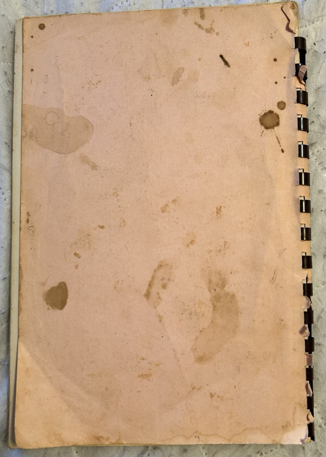 Vintage Community Cookbook From Taylor’s SC 1972-73