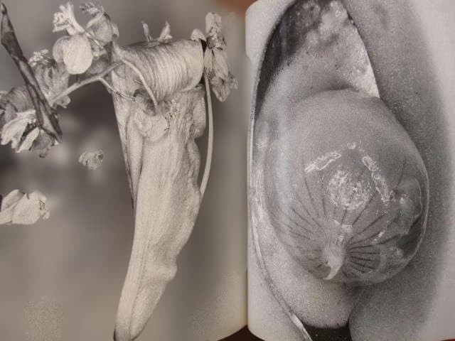 Nobuyoshi Araki „Erotos“ Photo Book First edition Hardcover Japanese