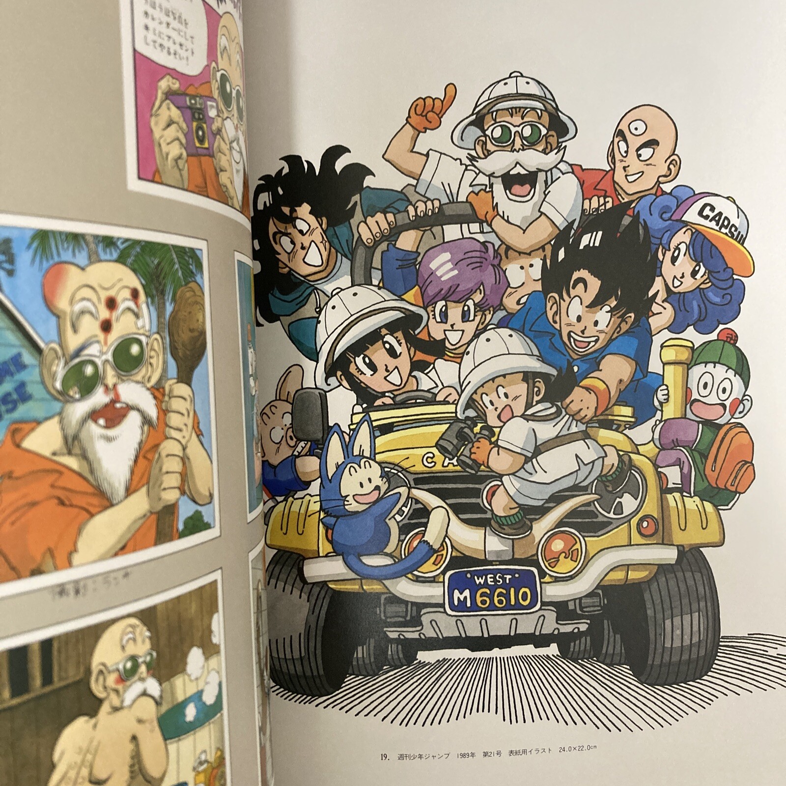 Akira Toriyama THE WORLD SPECIAL Art Book Illustration