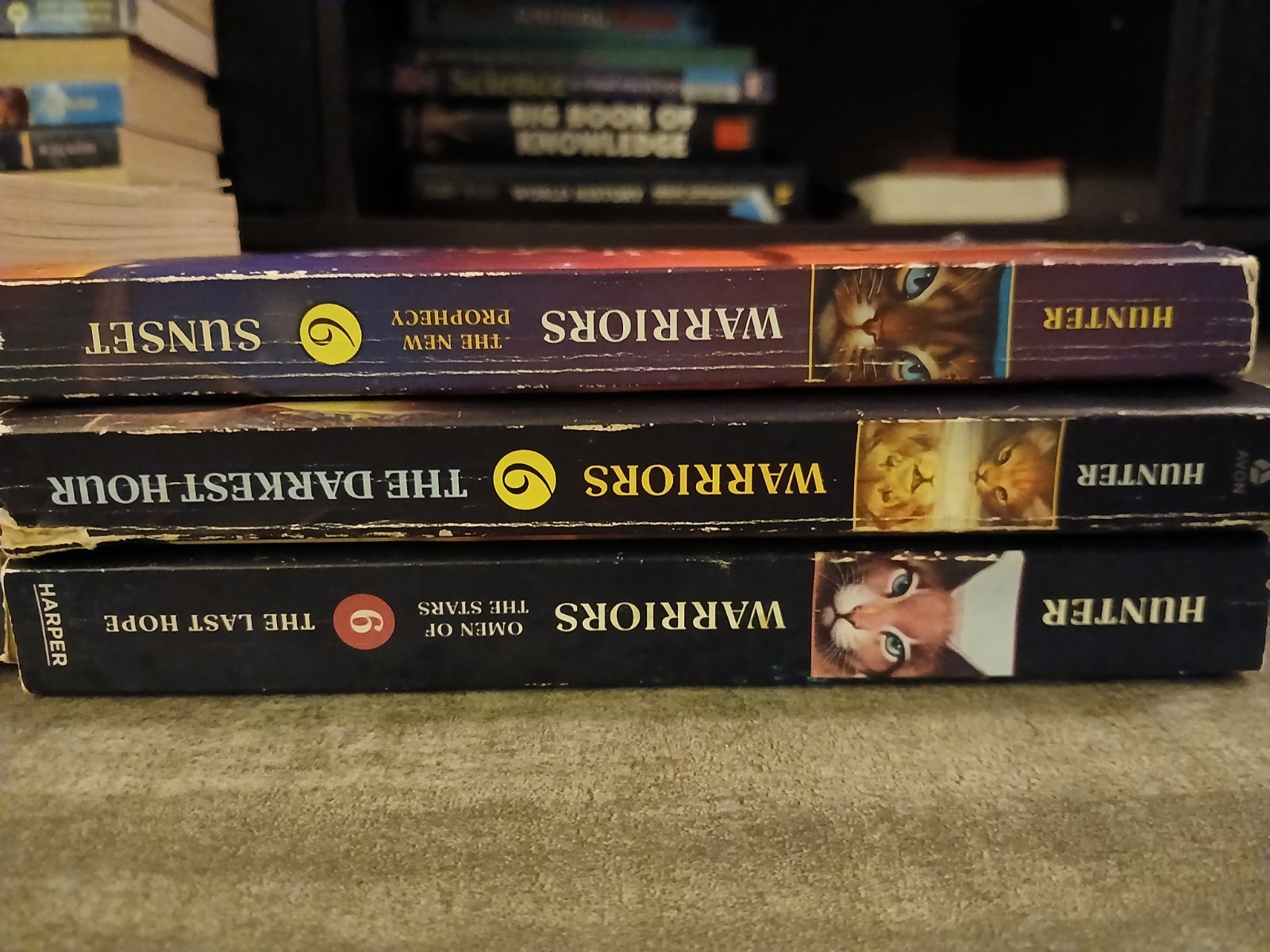 Erin Hunter Warriors Paperback Book Lot 11: Eclipse, Starlight, Twilight + More