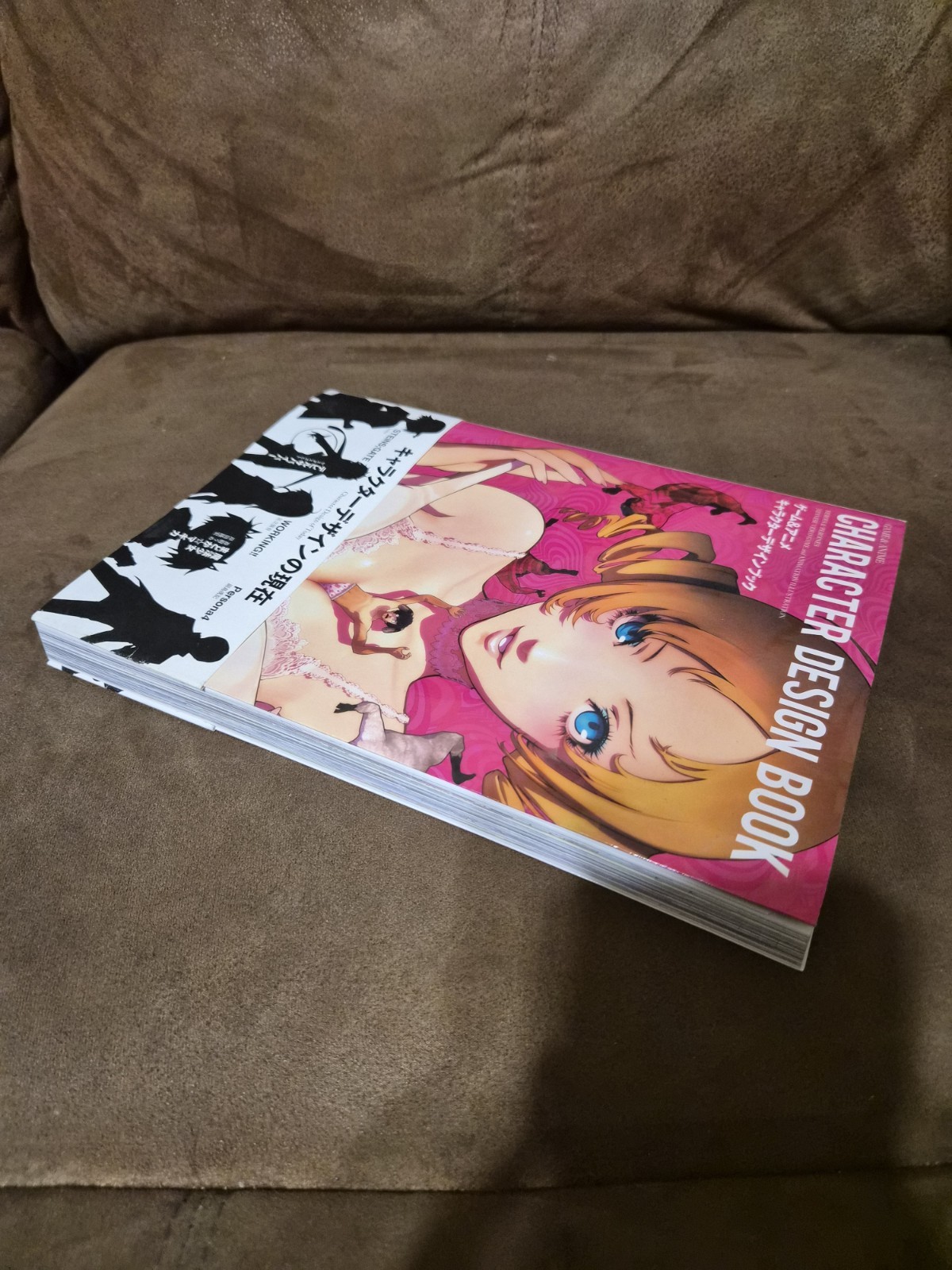 Heroes and Heroines: Japanese Video Game + Animation Illustration Art Book Anime