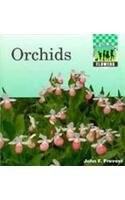 Orchids (Flowers)