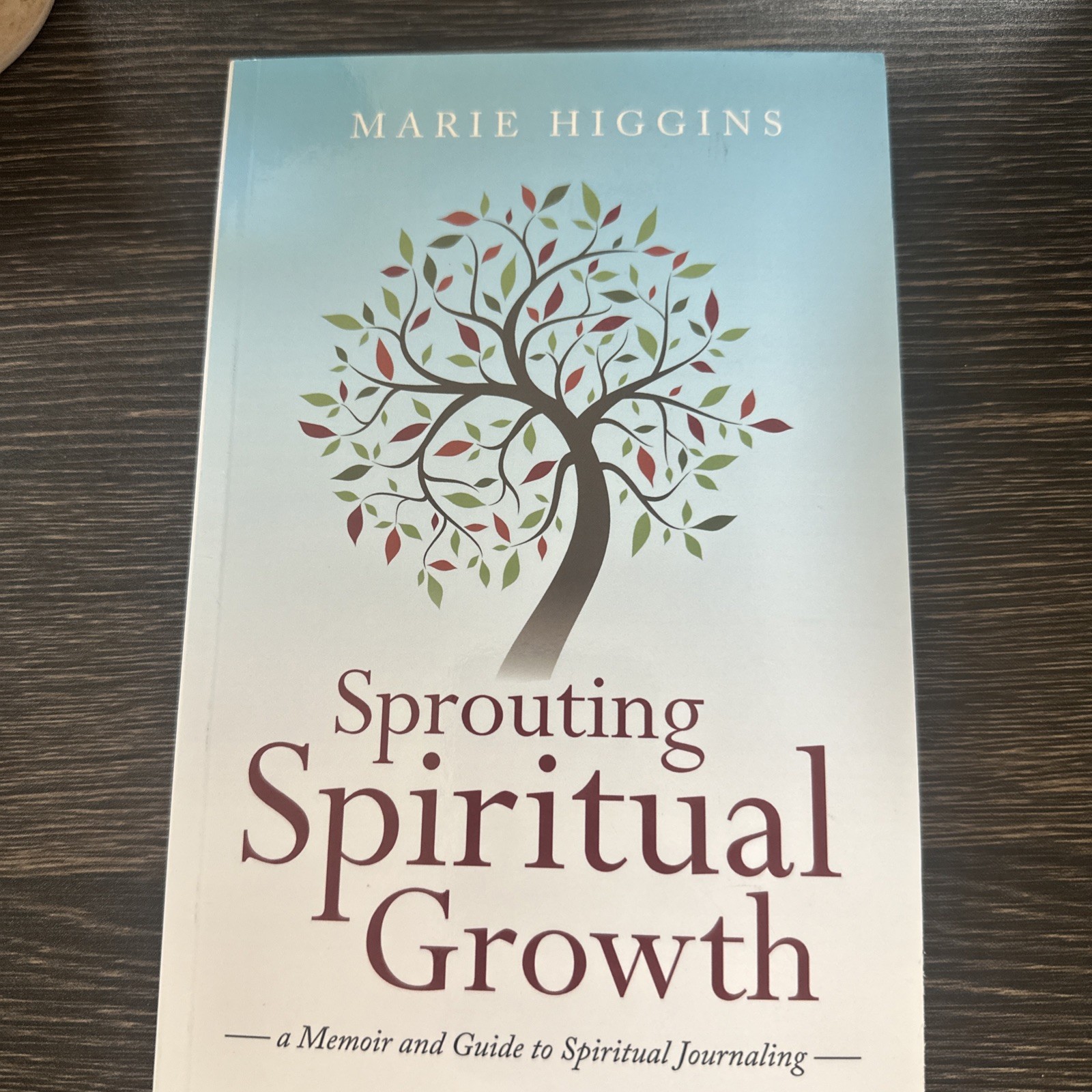 Sprouting Spiritual Growth: A Memoir and Guide to Spiritual Journaling Paperback