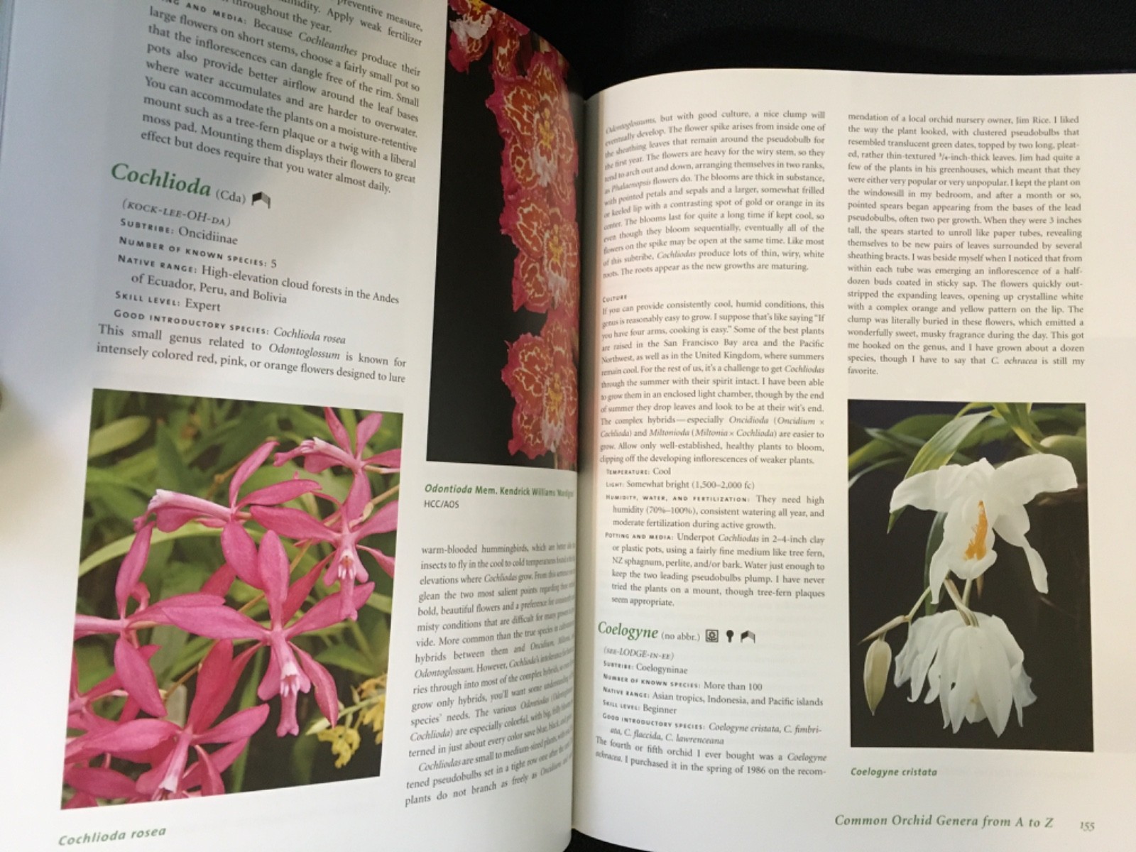 Lot UNDERSTANDING ORCHIDS Guide to Growing Exotic Flowers Plants CULLINA + LORE