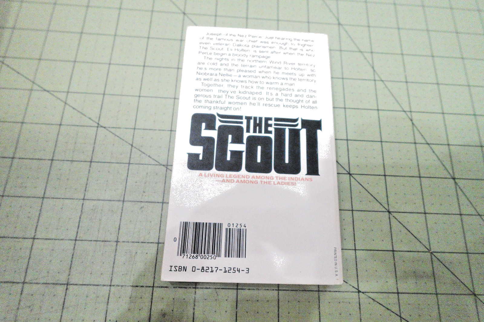 The Scout #12: Yellowstone Kill by Buck Gentry 1983, Zebra Bks Action Western