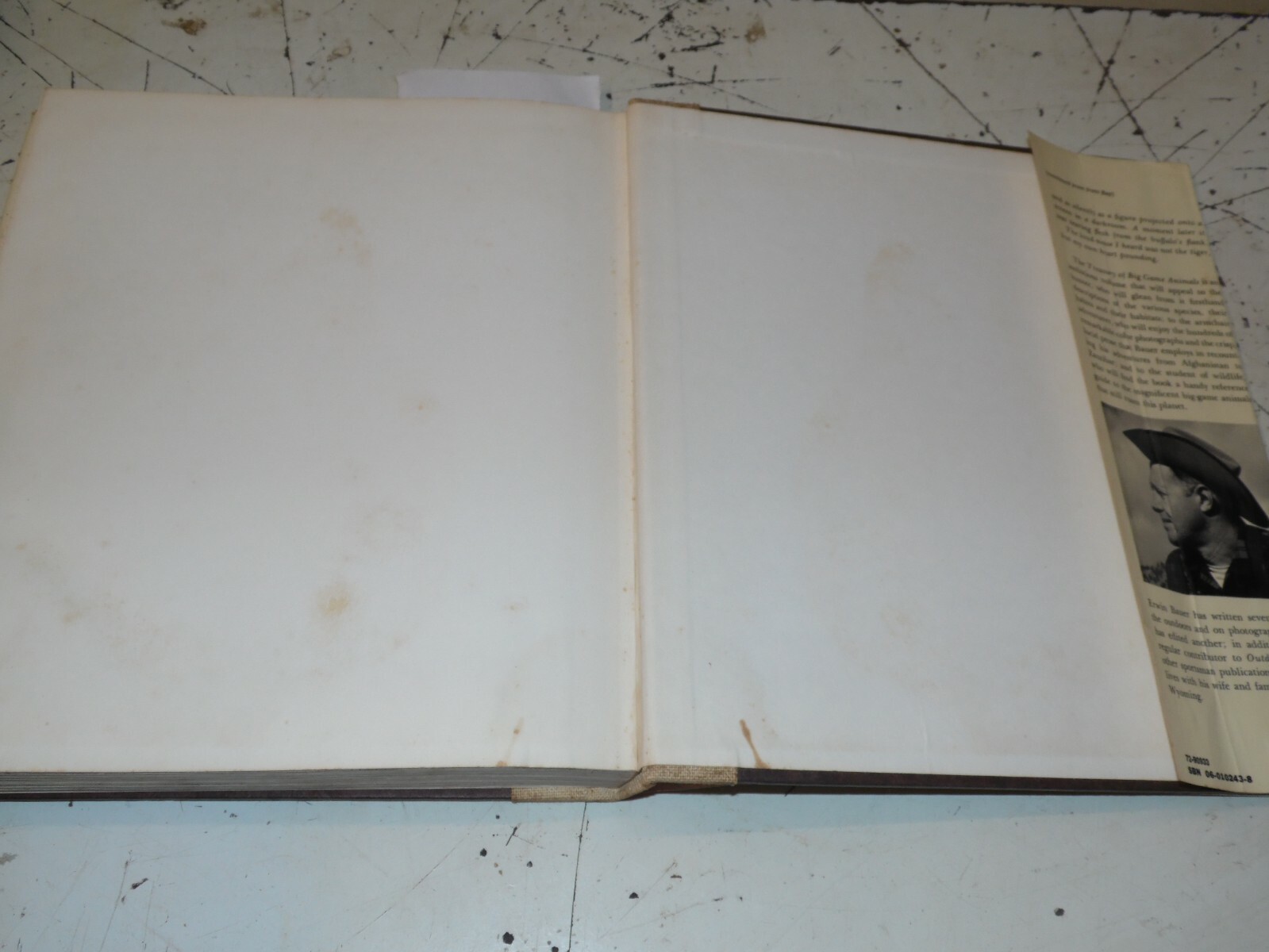 Vintage Treasury of Big Game Animals – Erwin Bauer – 398 Pages