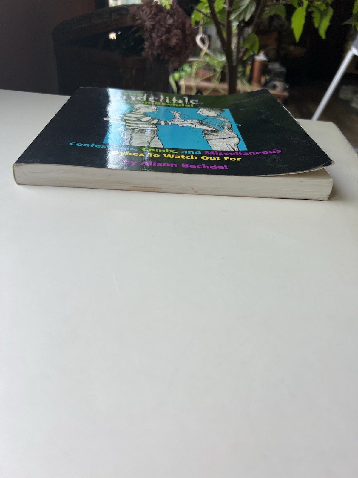 The Indelible Alison Bechdel Confessions Comix and Miscellaneous Dykes Paperback