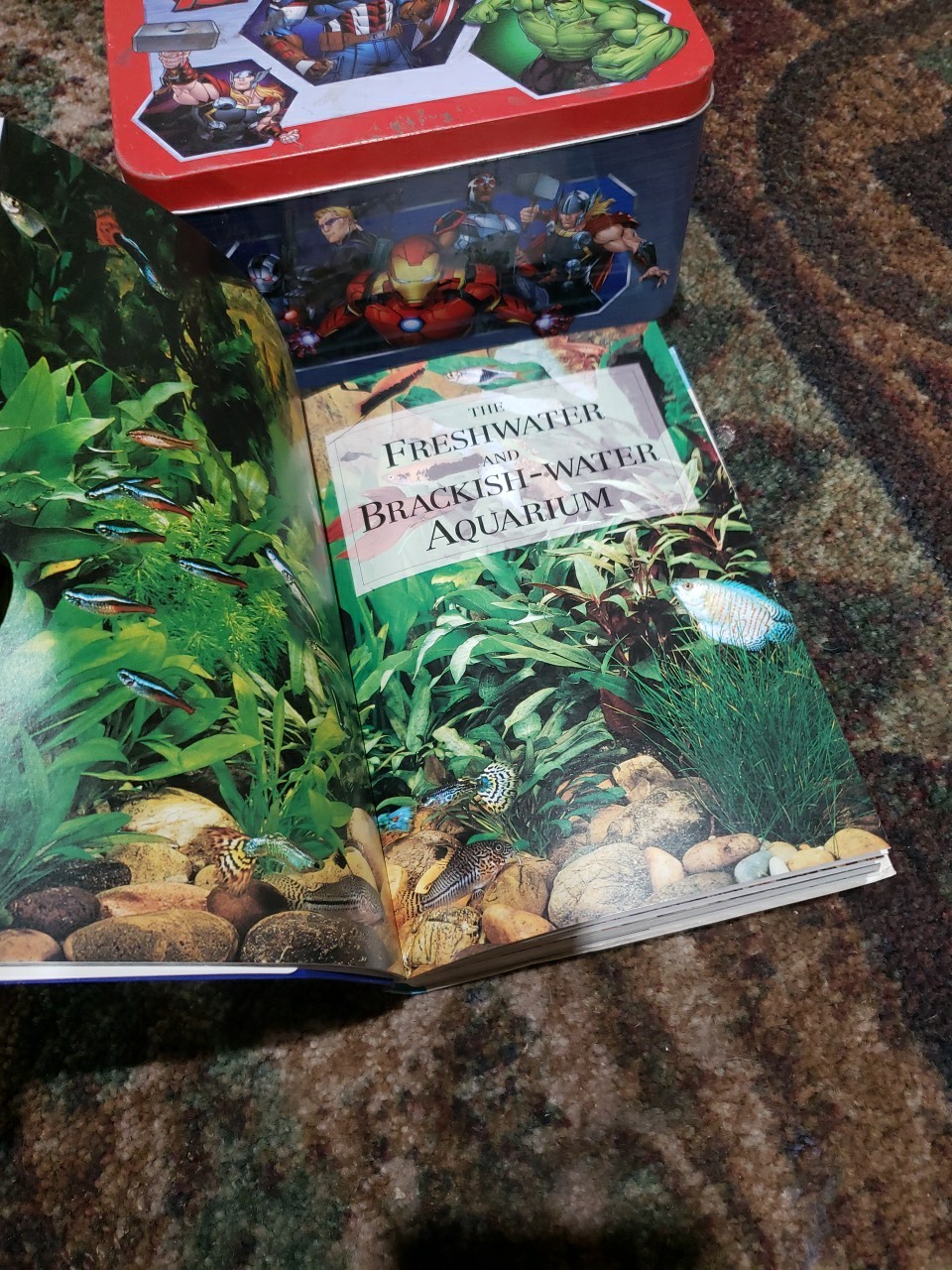 Aquarium Owner’s Manual by Gina Sanford (2003, Trade Paperback)