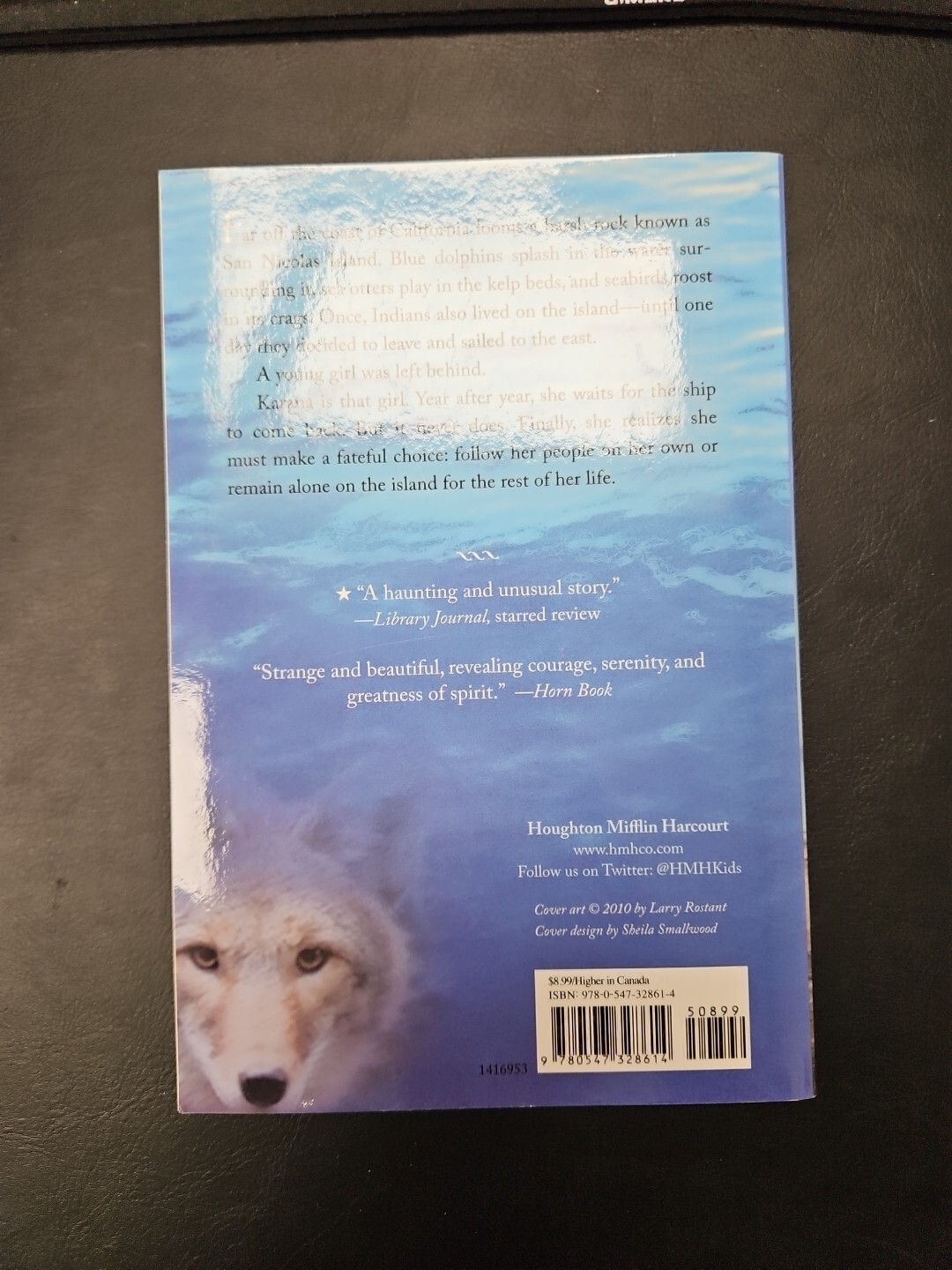 Island of the Blue Dolphins – Paperback By ODell, Scott – VERY GOOD