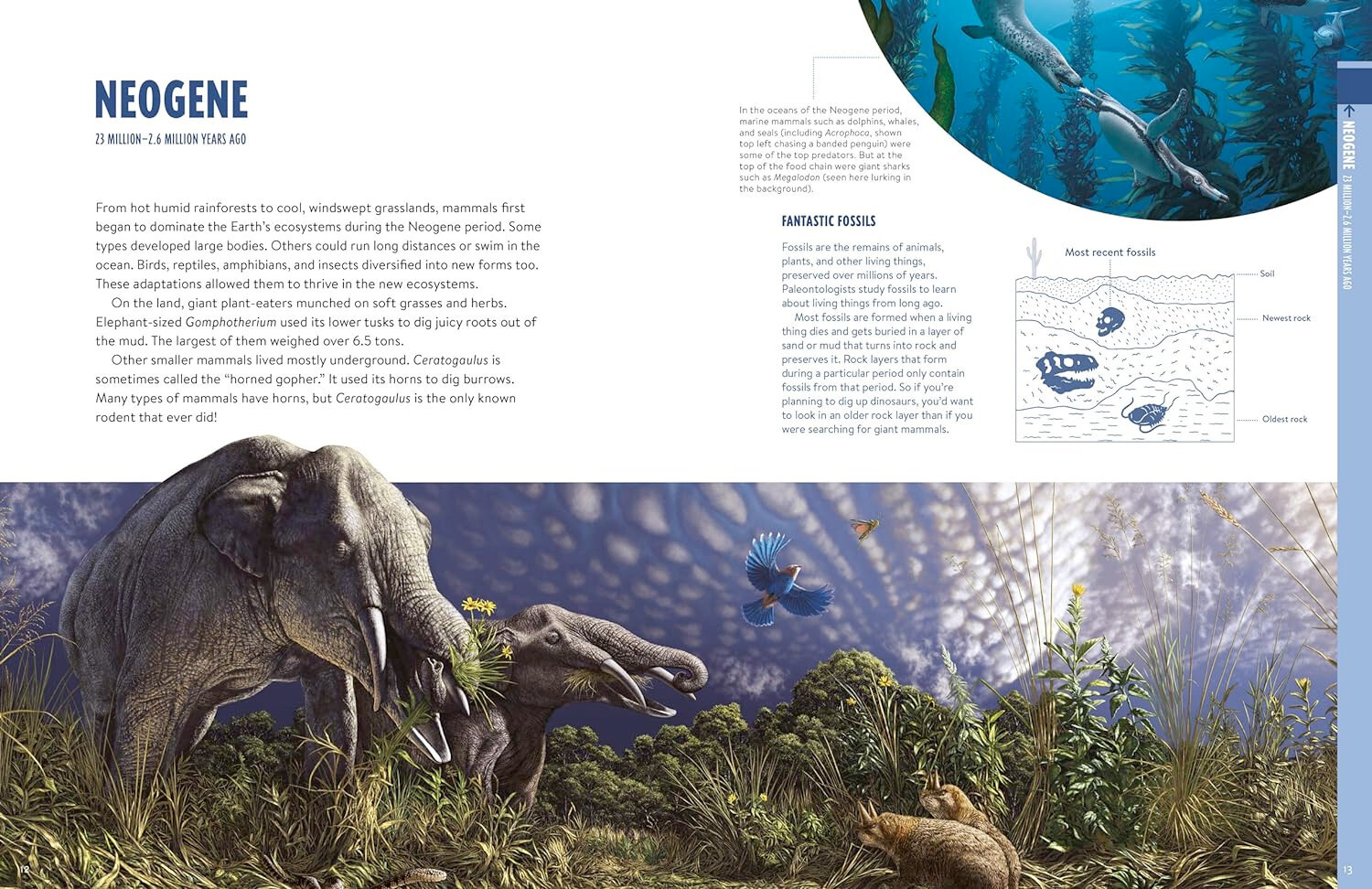 Prehistoric: Dinosaurs, Megalodons, and Other Fascinating Creatures of the Deep