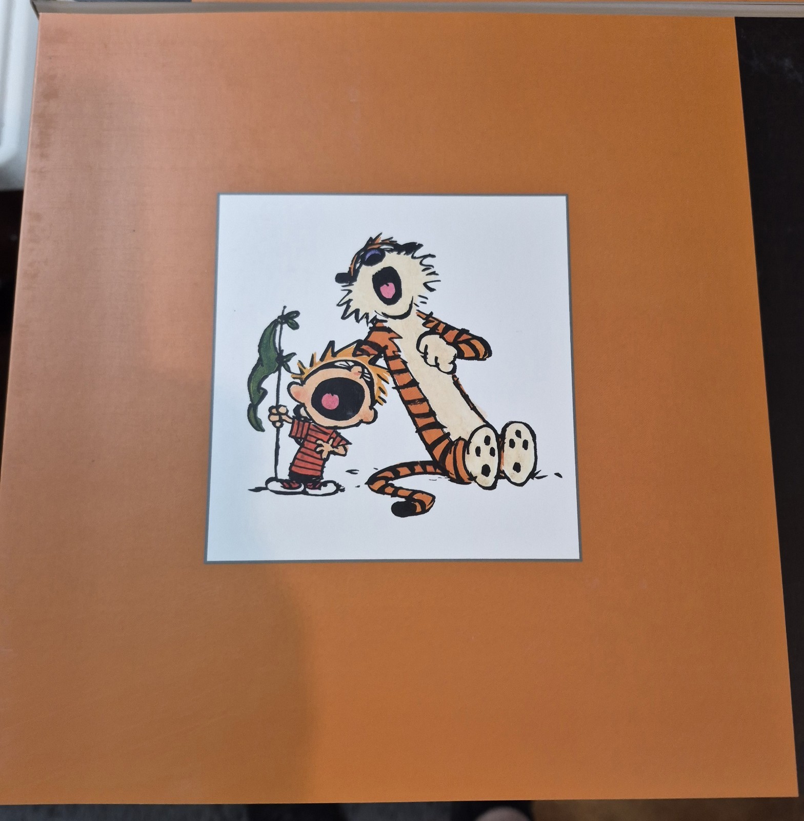 The Complete Calvin and Hobbes • 4 Book Box Set (Paperback)