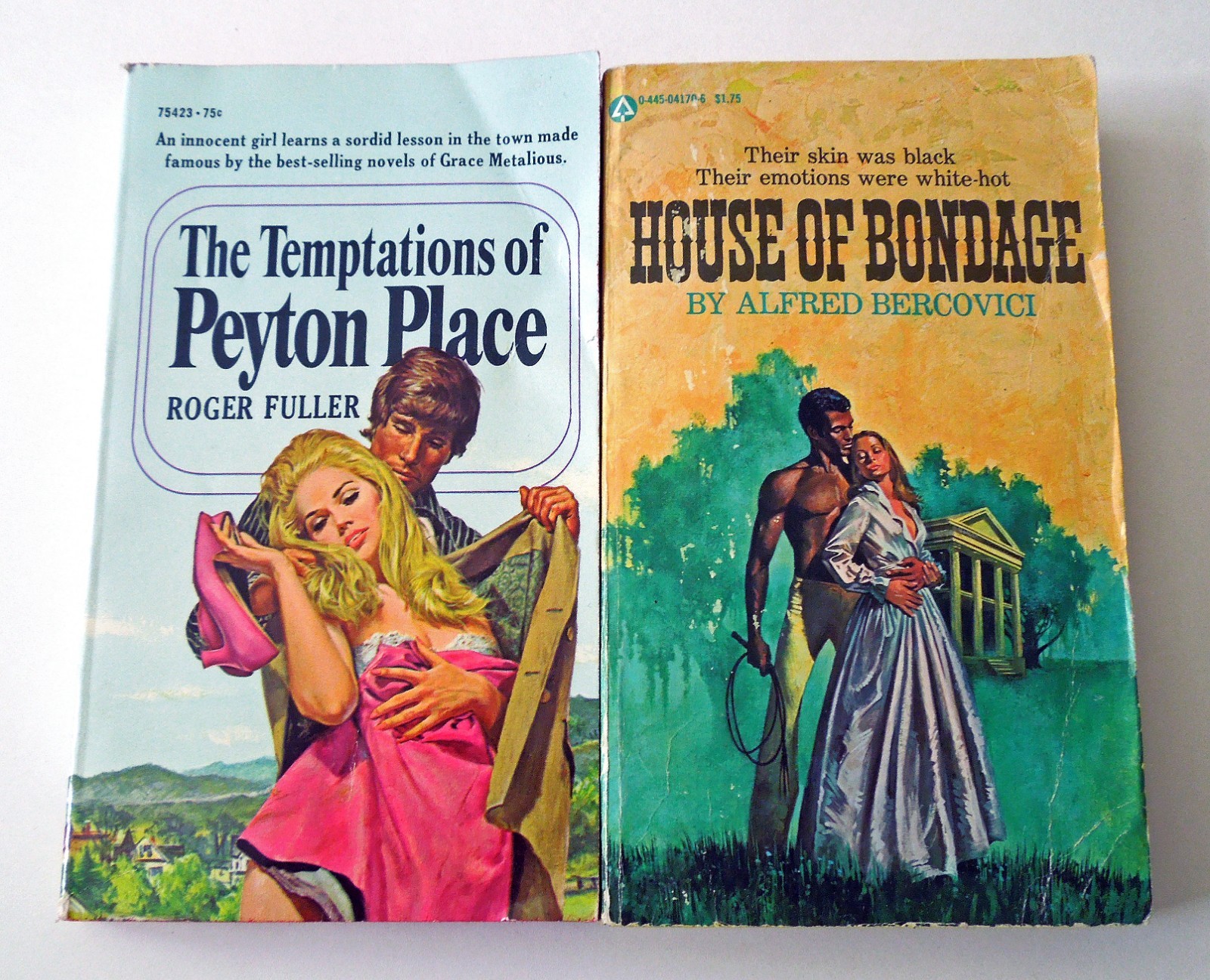 Lot of 20 Vintage 1970s Fiction Pocketbooks: Snow Bound, Being There, +18