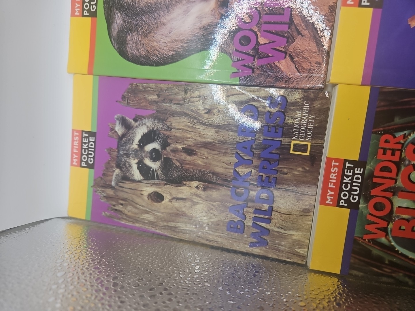 National Geographic My First Pocket Guides: Big Collection 11 Books science