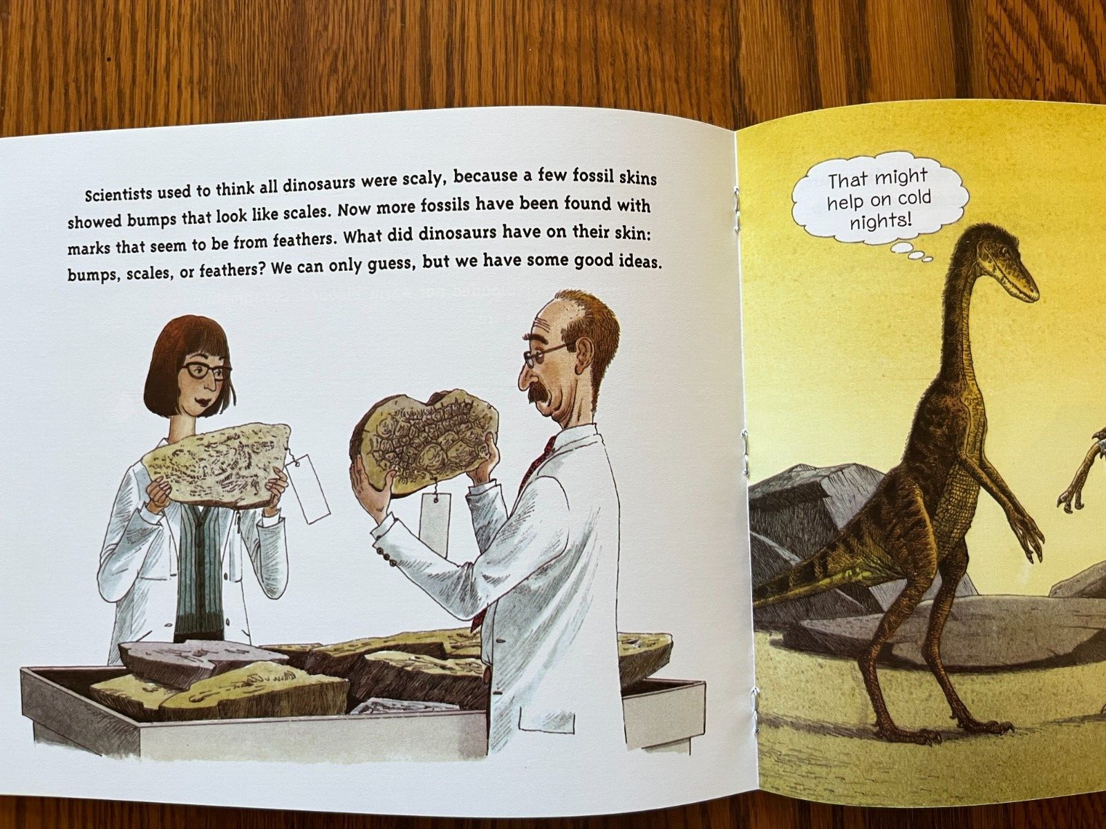 Set of 25 NEW – DINOSAURS! PB Books Grade Level 2 3 Teacher Class Lot Science